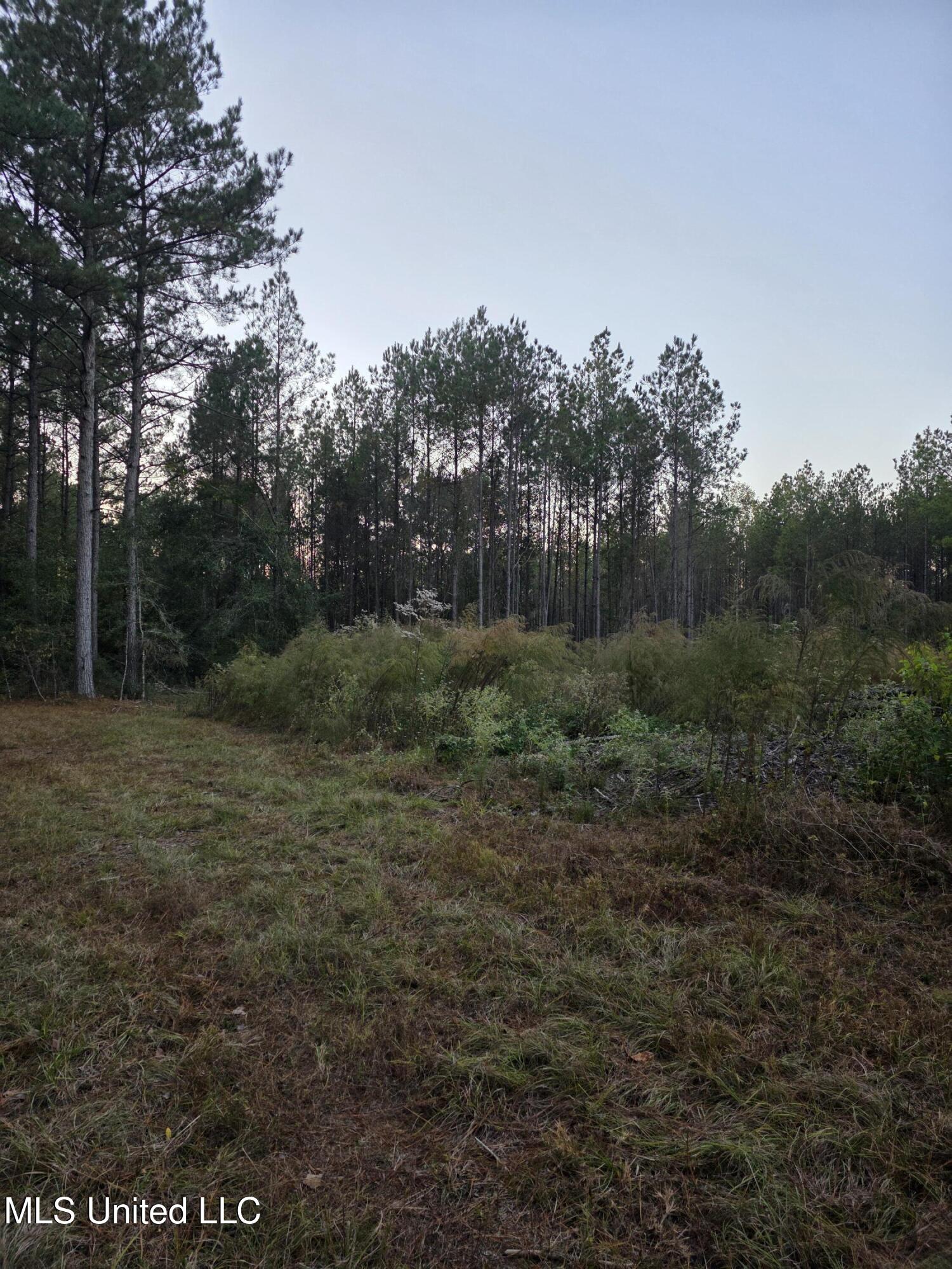 County Rd 77 Property Photo 8