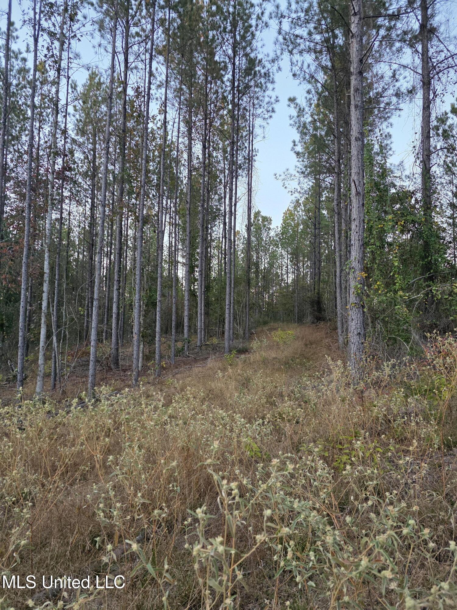 County Rd 77 Property Photo 9