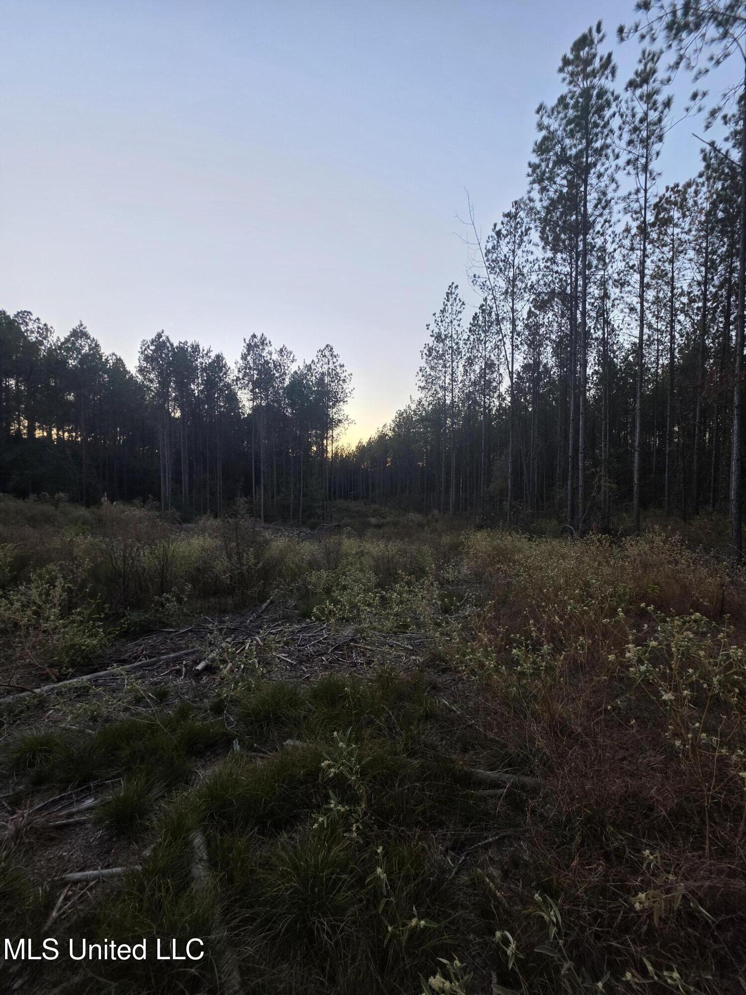County Rd 77 Property Photo 11