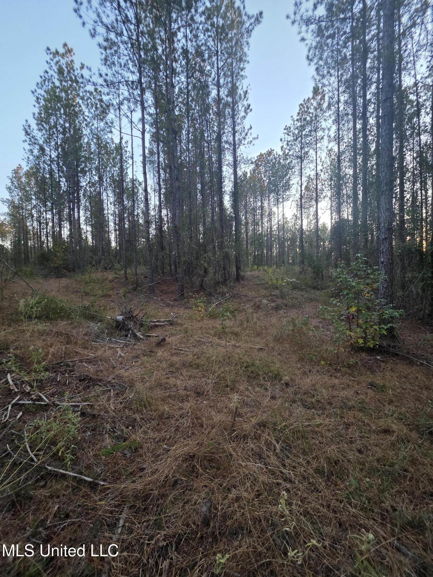 County Rd 77 Property Photo 13