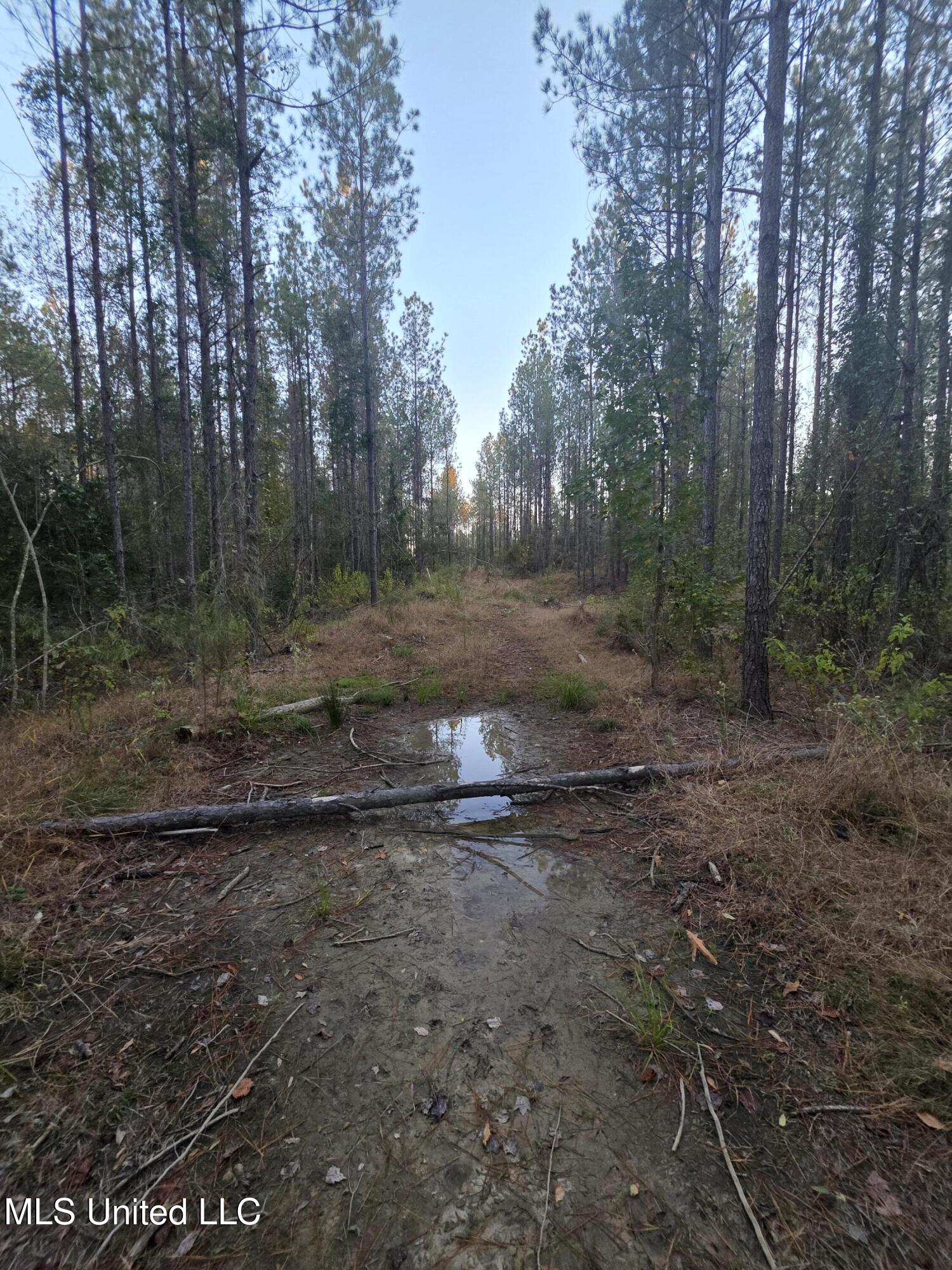County Rd 77 Property Photo 14