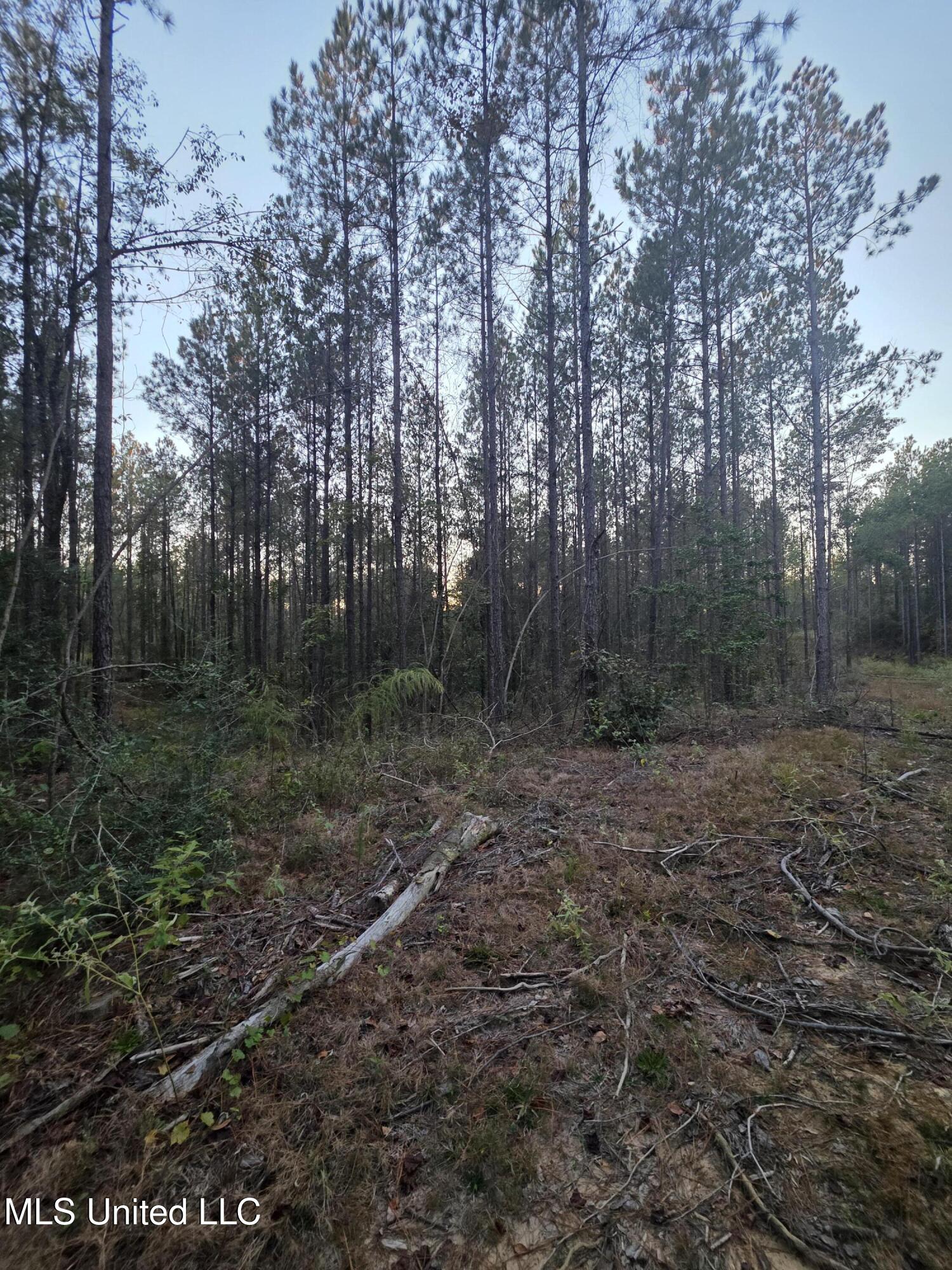 County Rd 77 Property Photo 16