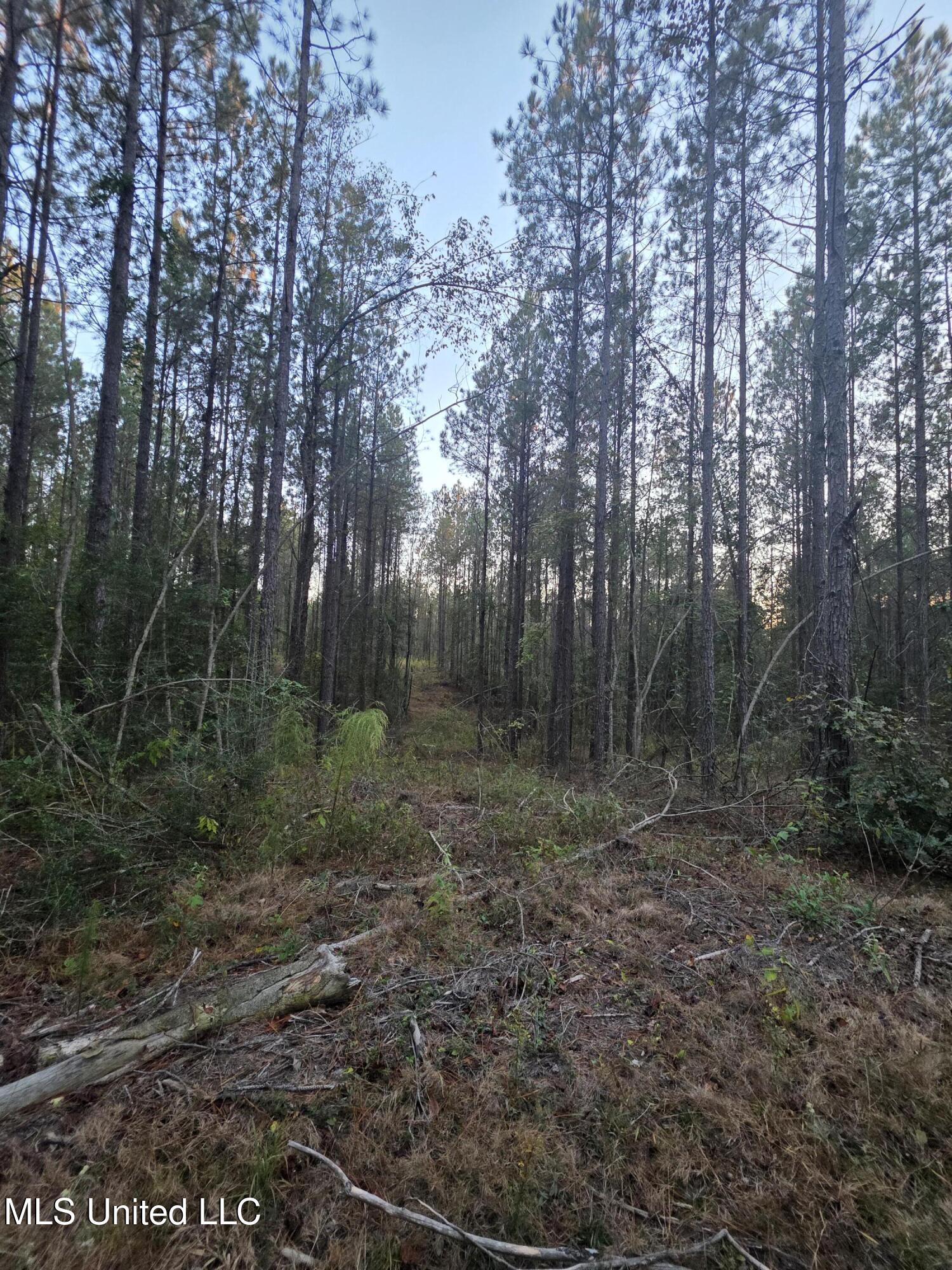 County Rd 77 Property Photo 17