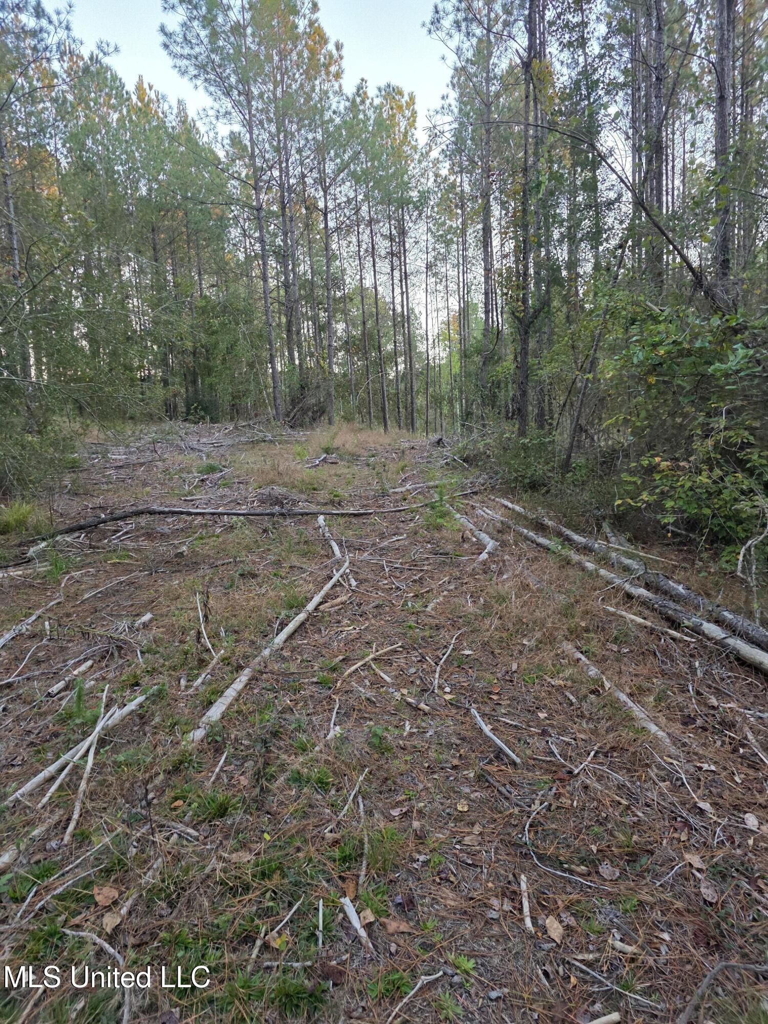 County Rd 77 Property Photo 18