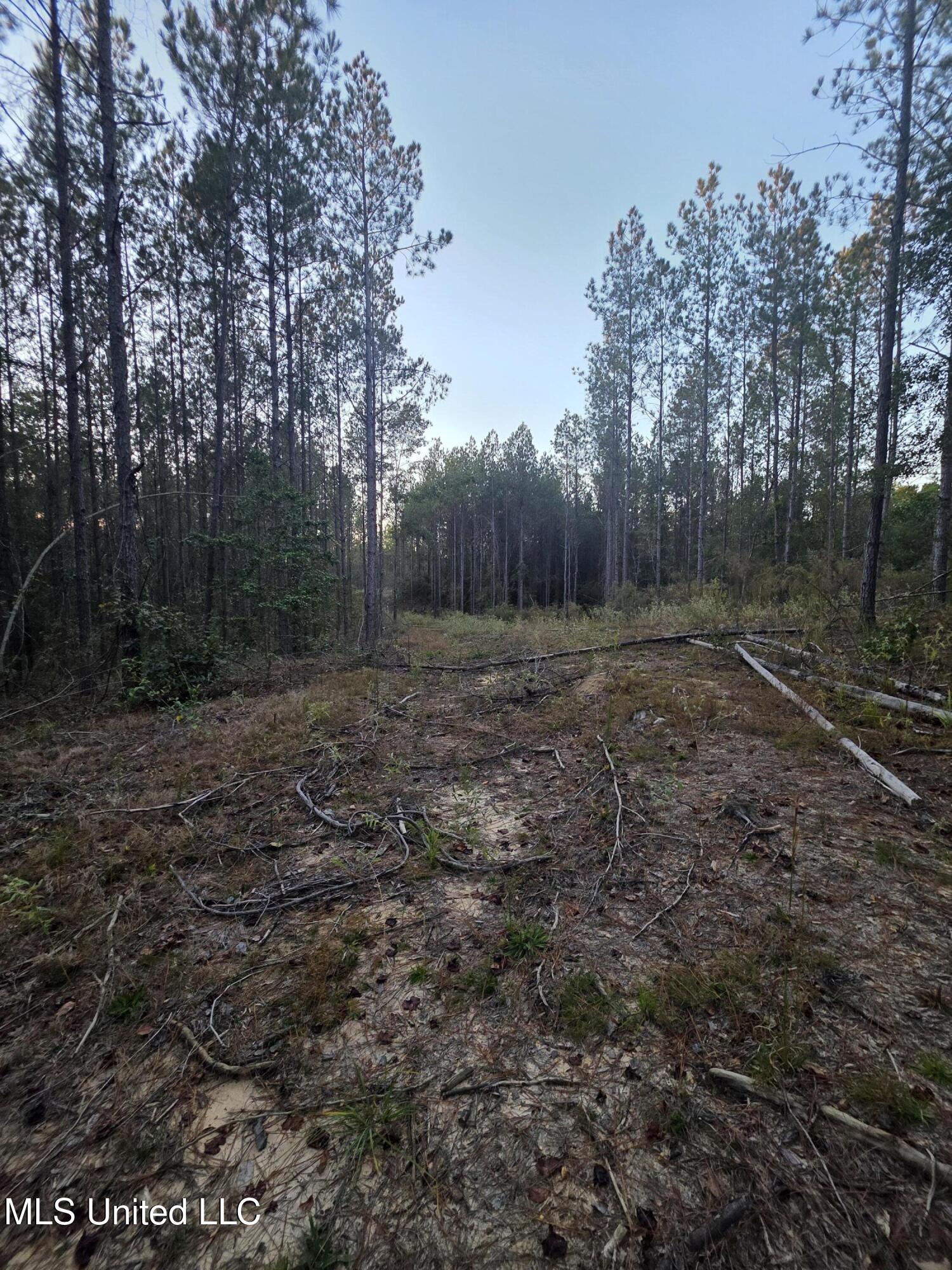 County Rd 77 Property Photo 19
