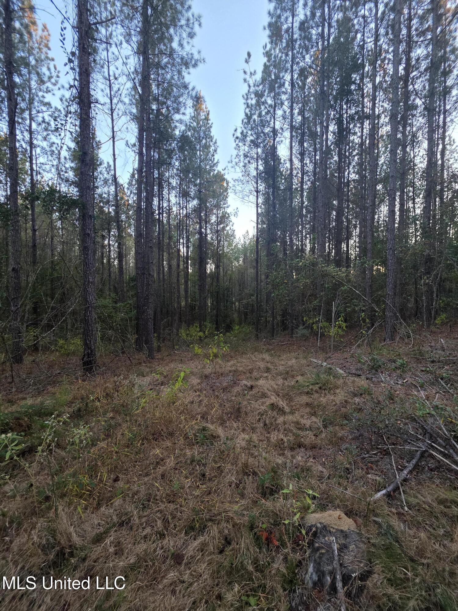 County Rd 77 Property Photo 20
