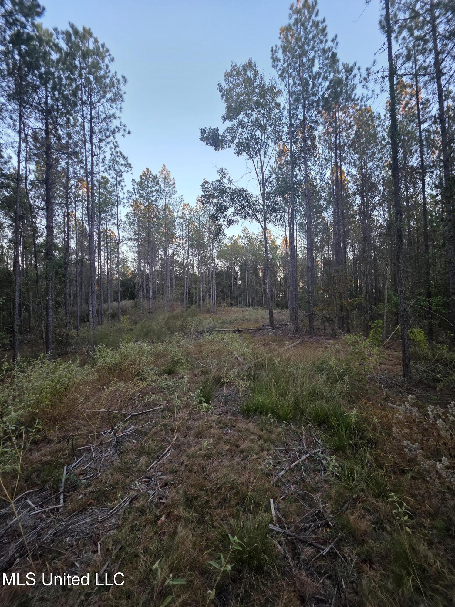 County Rd 77 Property Photo 21