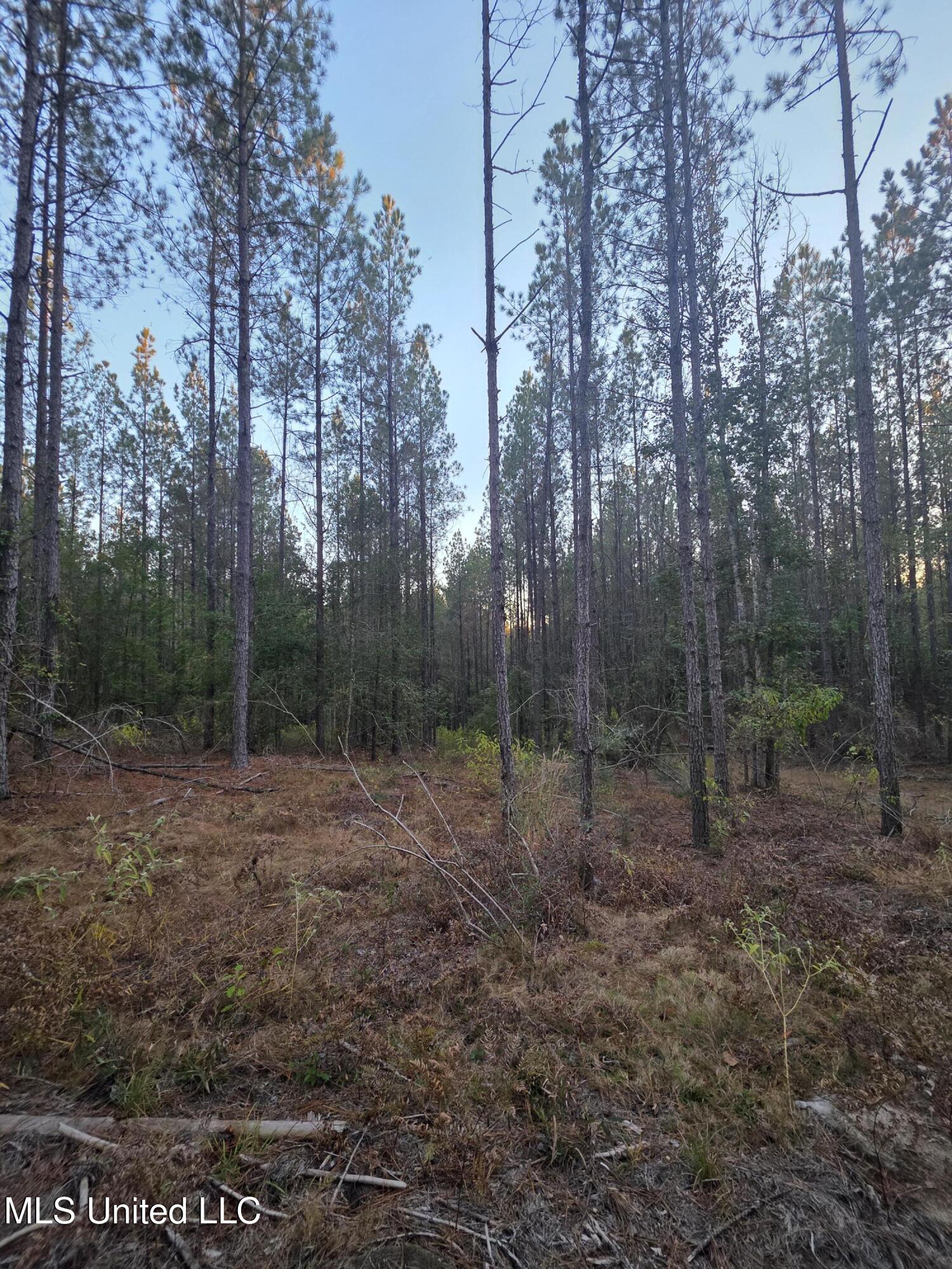County Rd 77 Property Photo 22