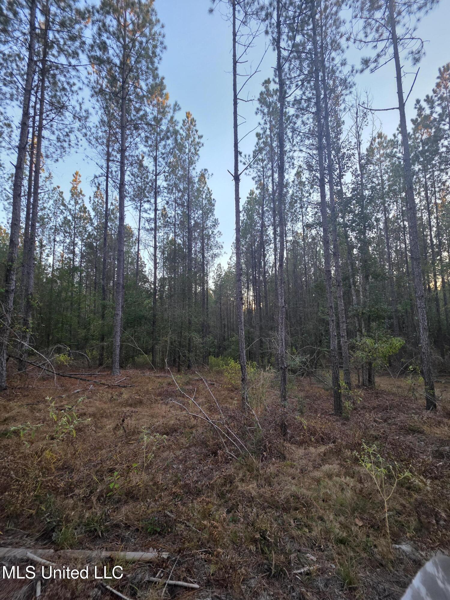 County Rd 77 Property Photo 23