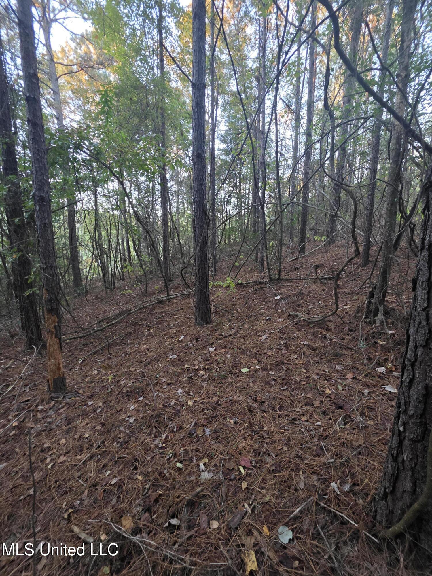 County Rd 77 Property Photo 25