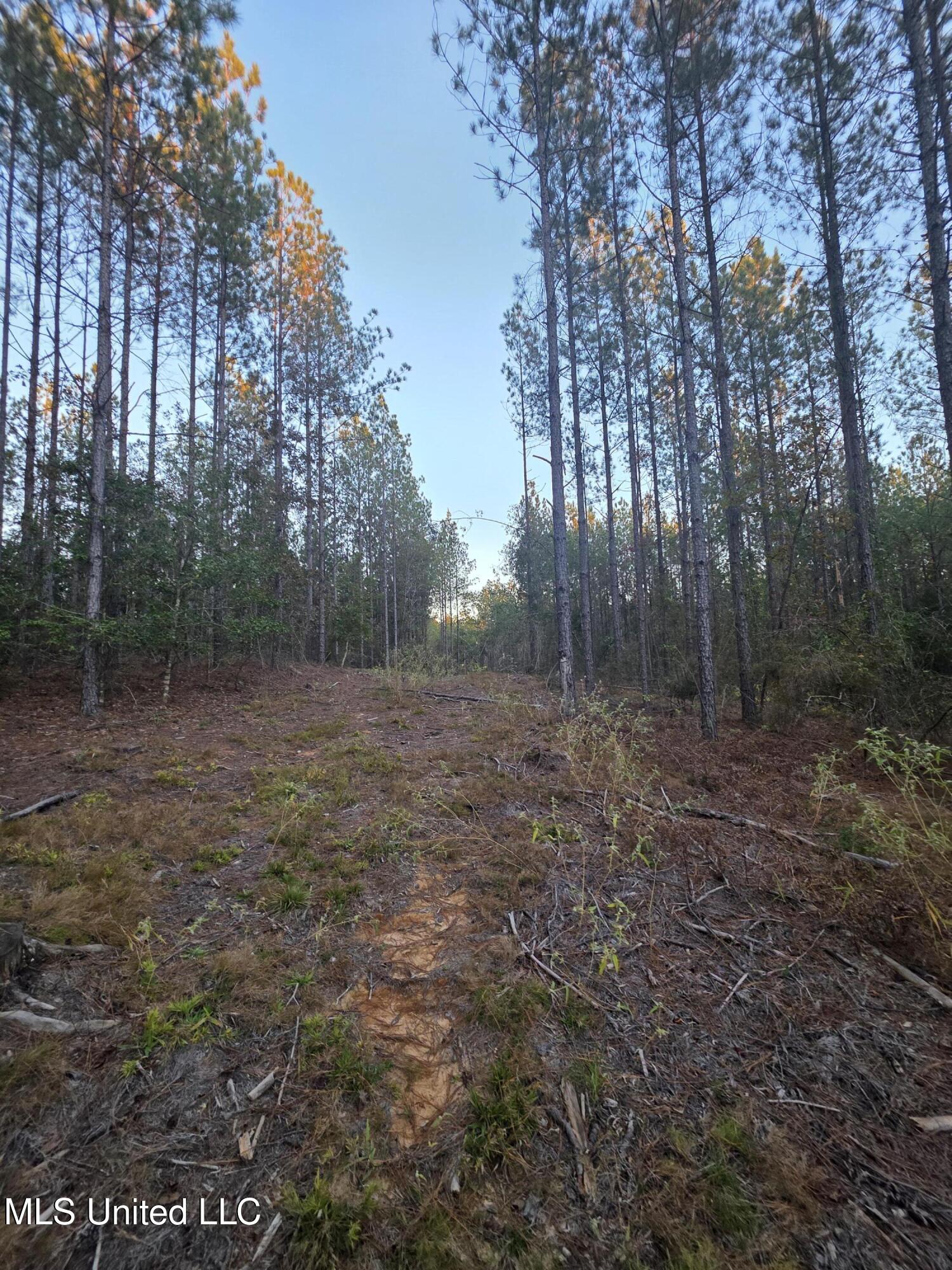County Rd 77 Property Photo 26
