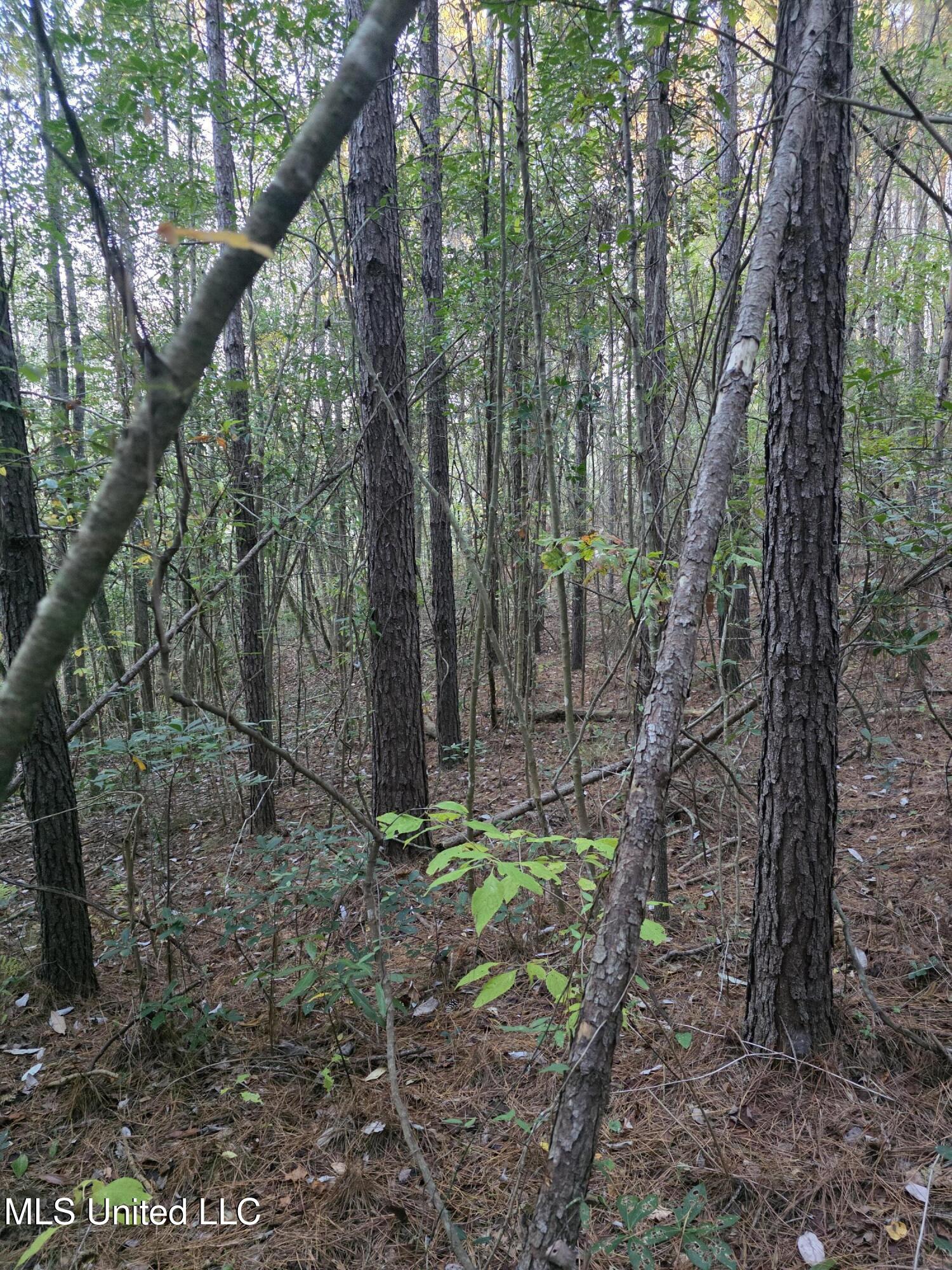 County Rd 77 Property Photo 28