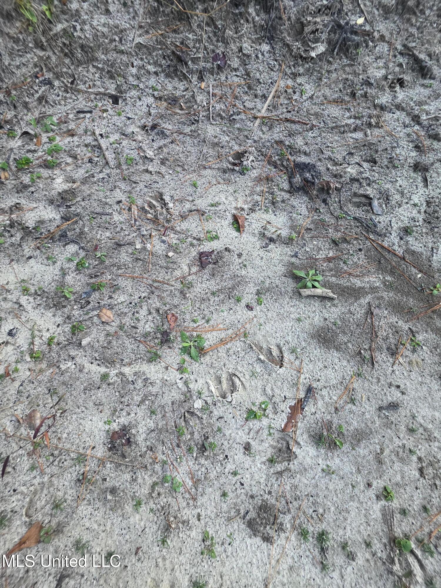 County Rd 77 Property Photo 30