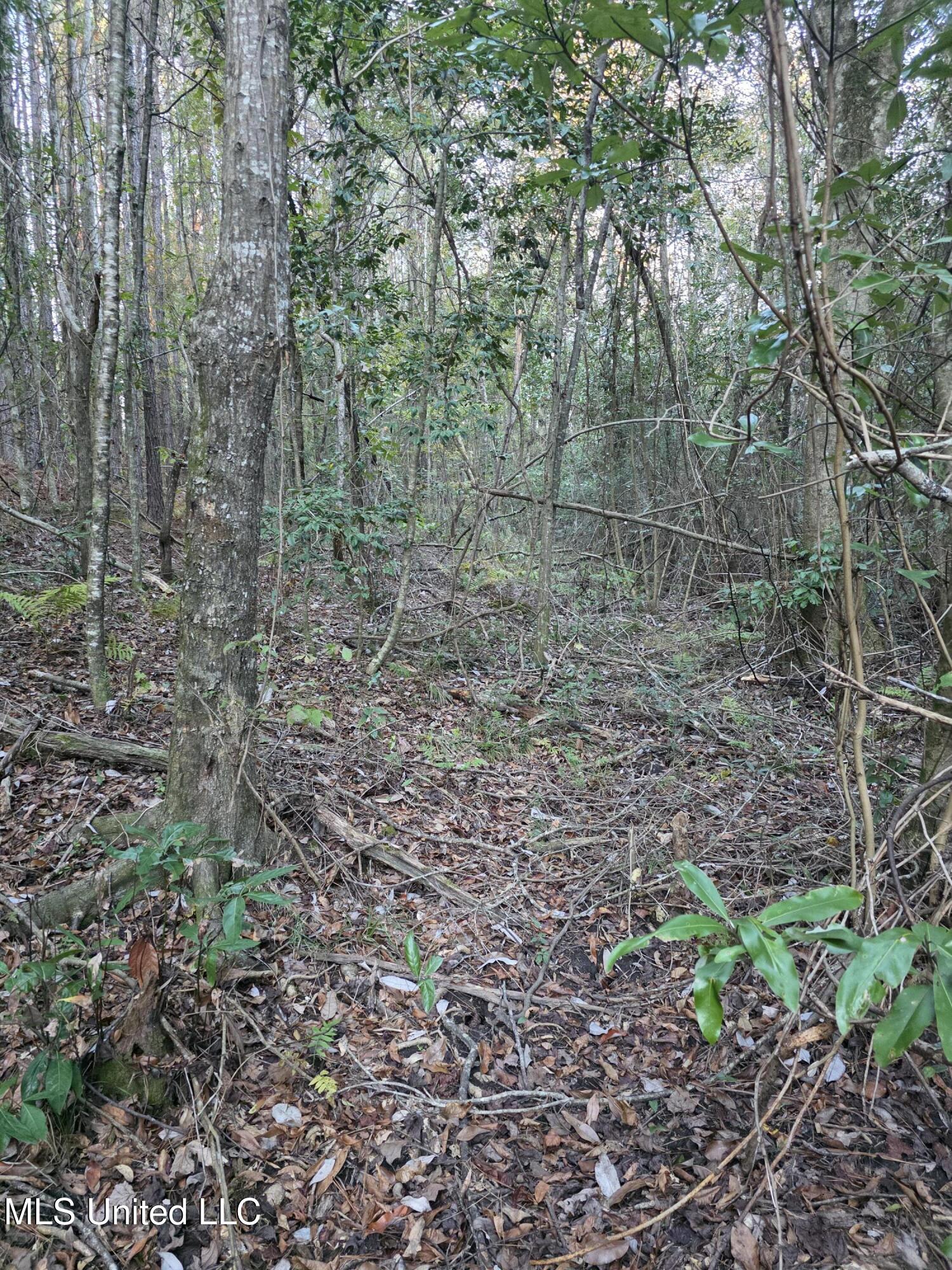 County Rd 77 Property Photo 34