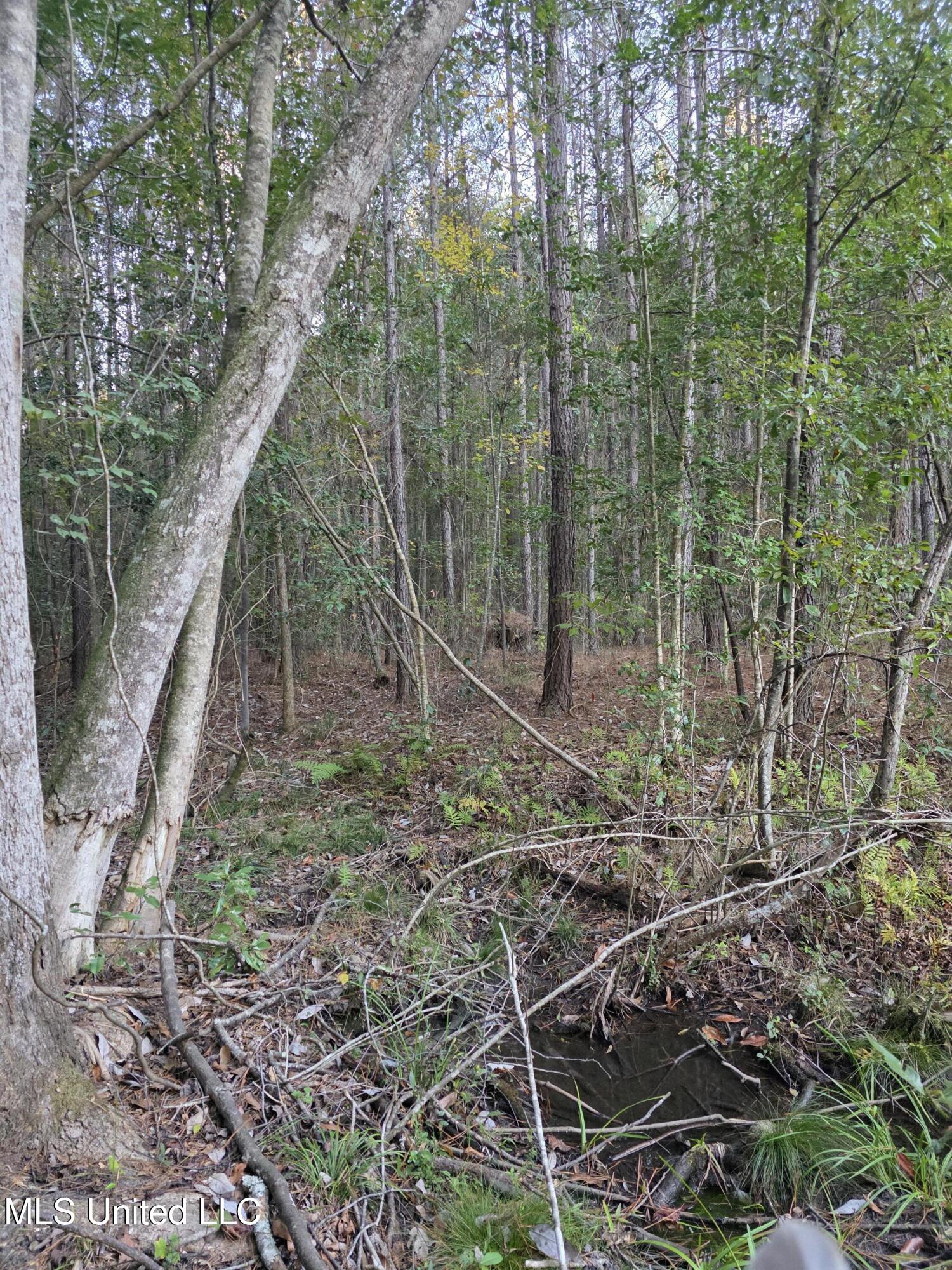County Rd 77 Property Photo 35