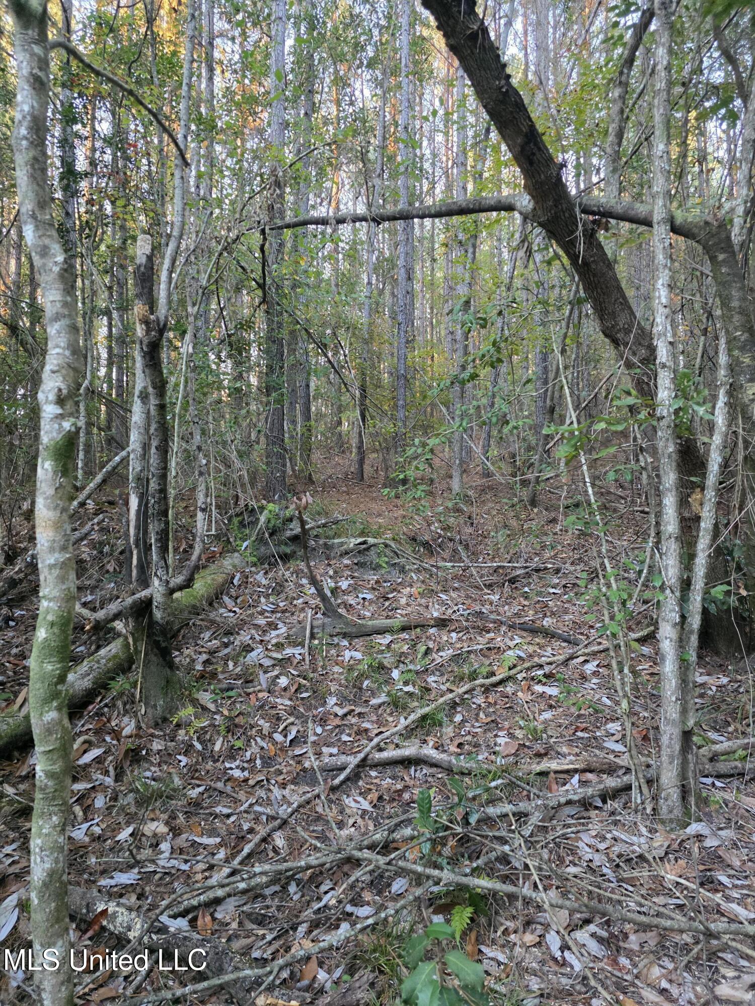 County Rd 77 Property Photo 37