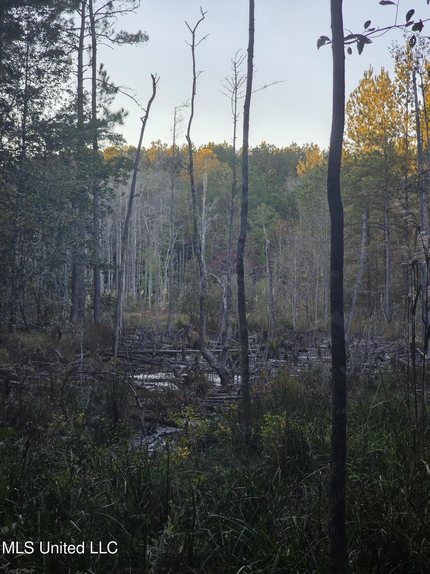 County Rd 77 Property Photo 38