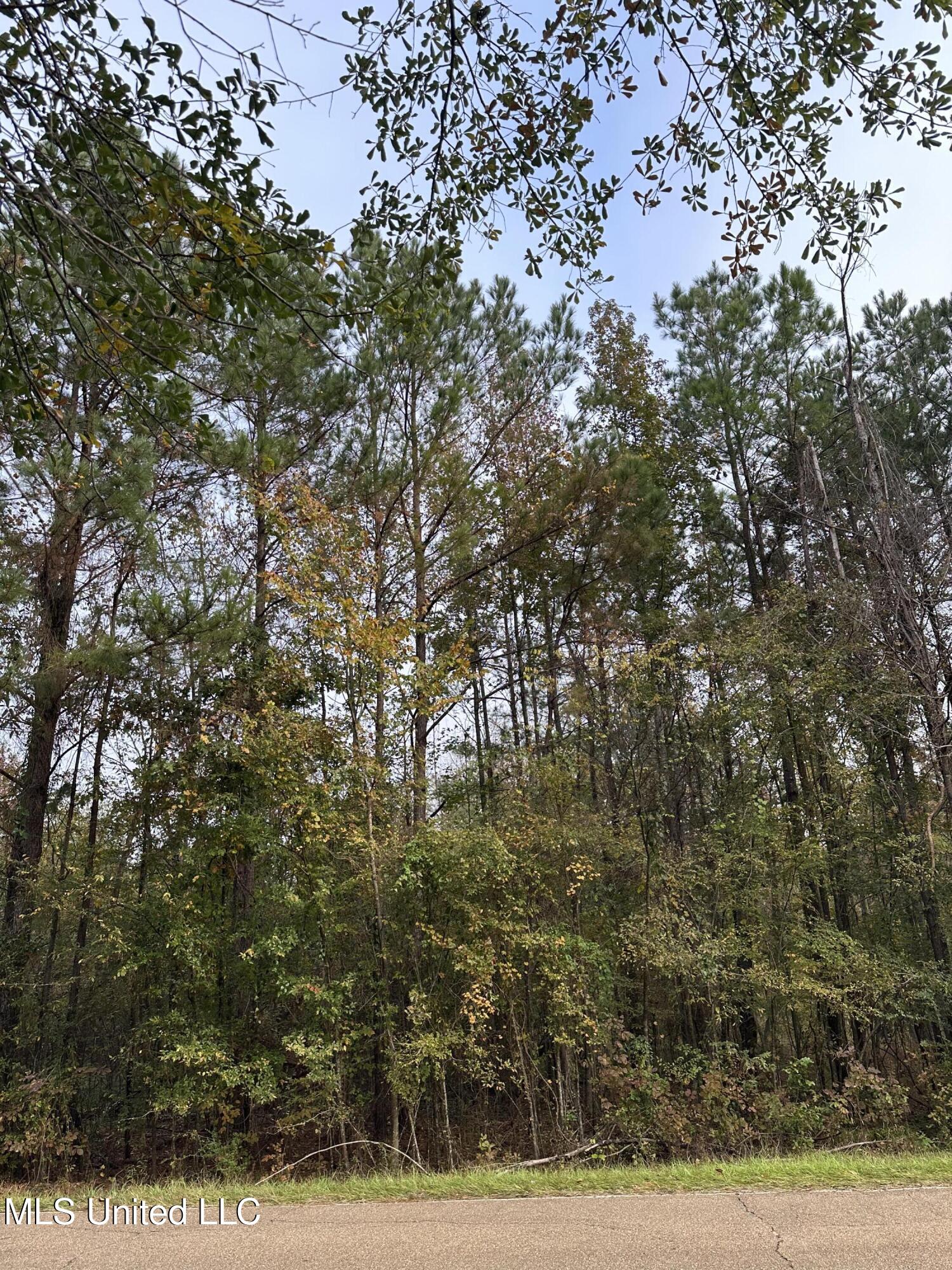 Mcraven Road Property Photo 2