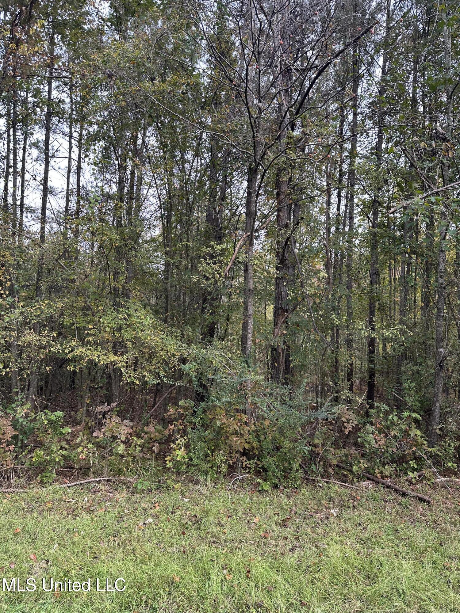 Mcraven Road Property Photo 4