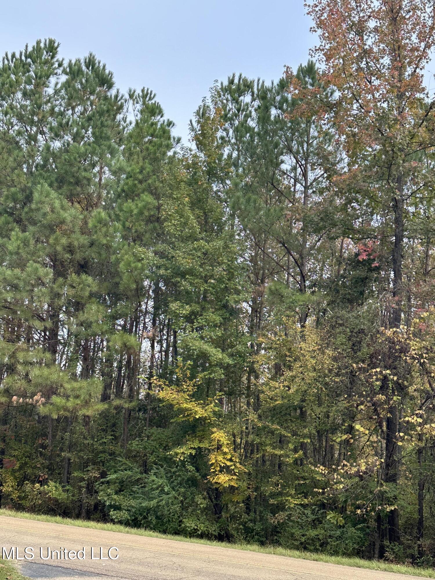 Mcraven Road Property Photo 5