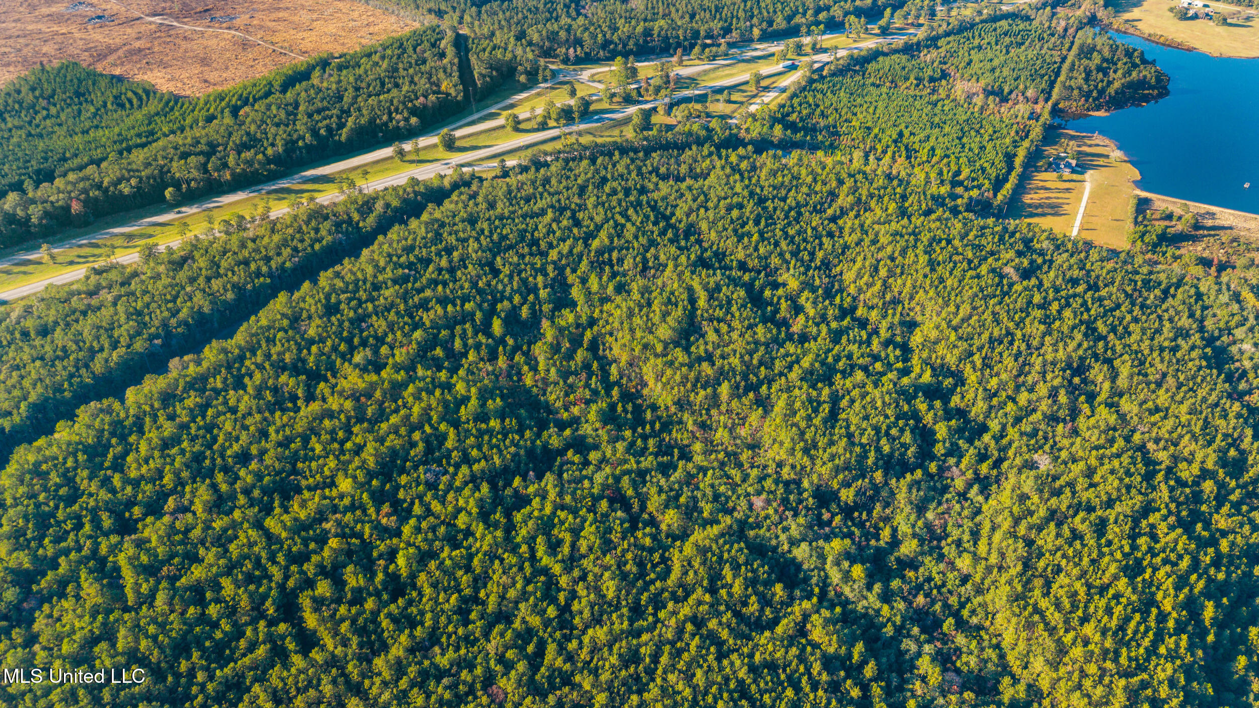 I59-savannah Millard Road Property Photo 4