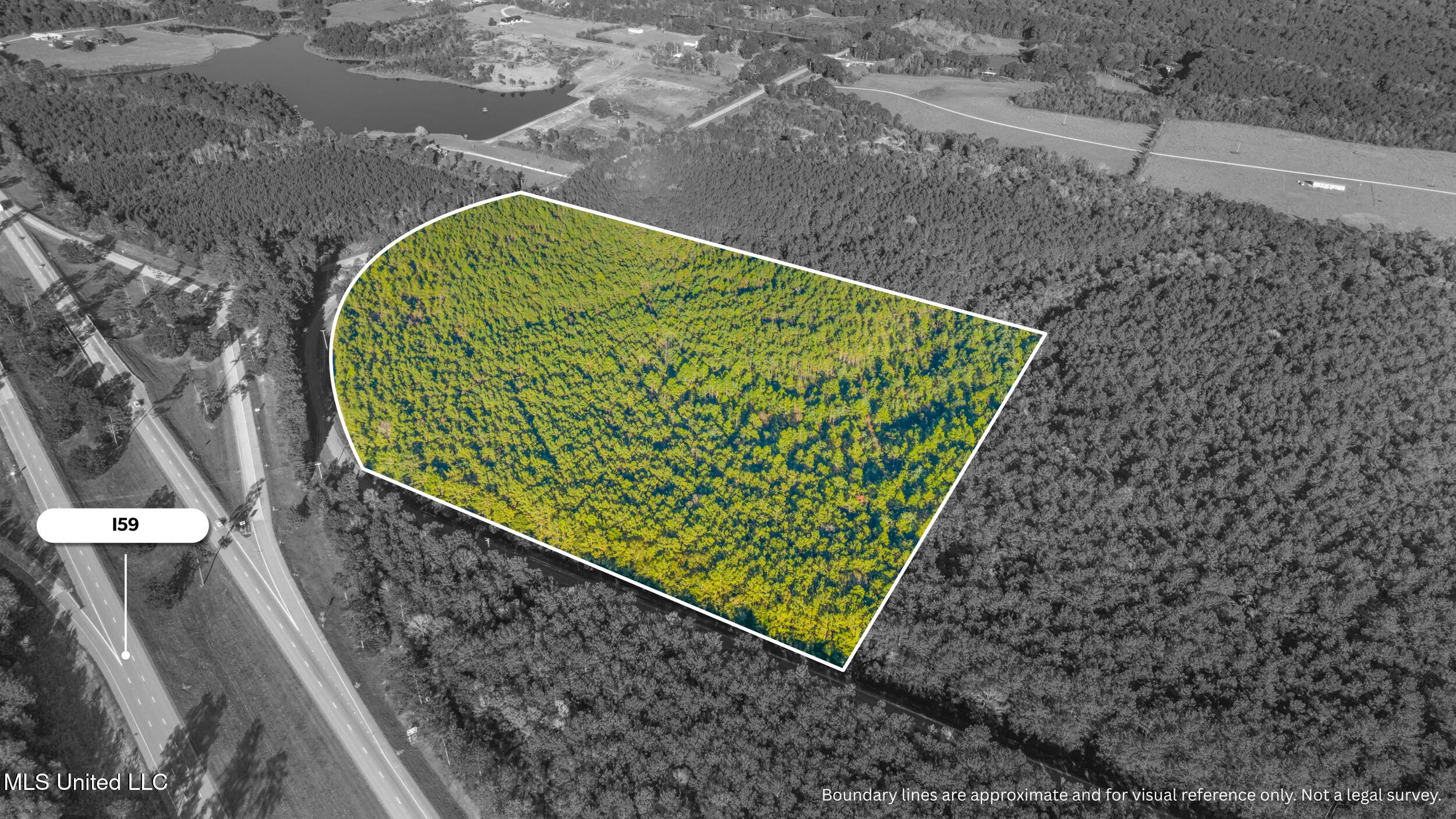I59-savannah Millard Road Property Photo 10