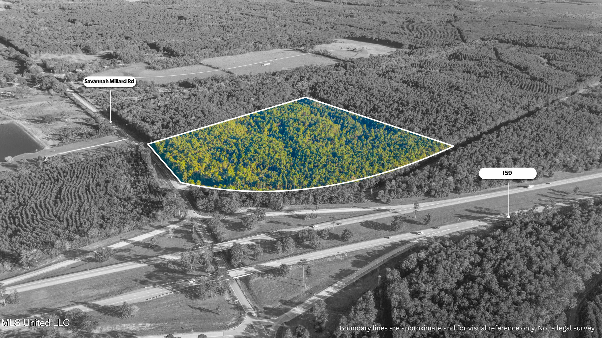 I59-savannah Millard Road Property Photo 14