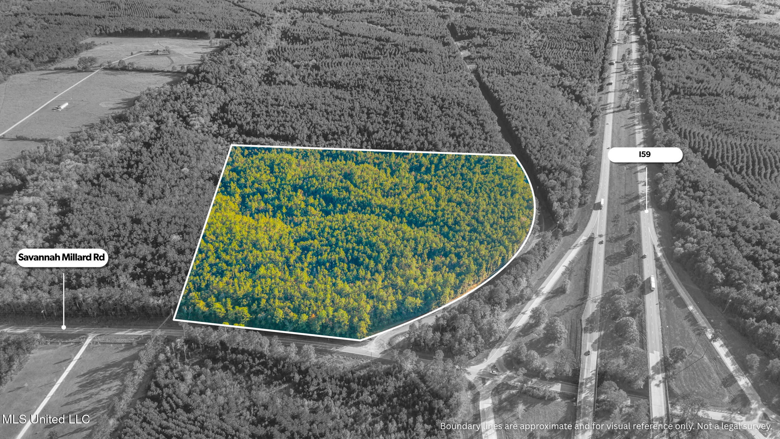 I59-savannah Millard Road Property Photo 18