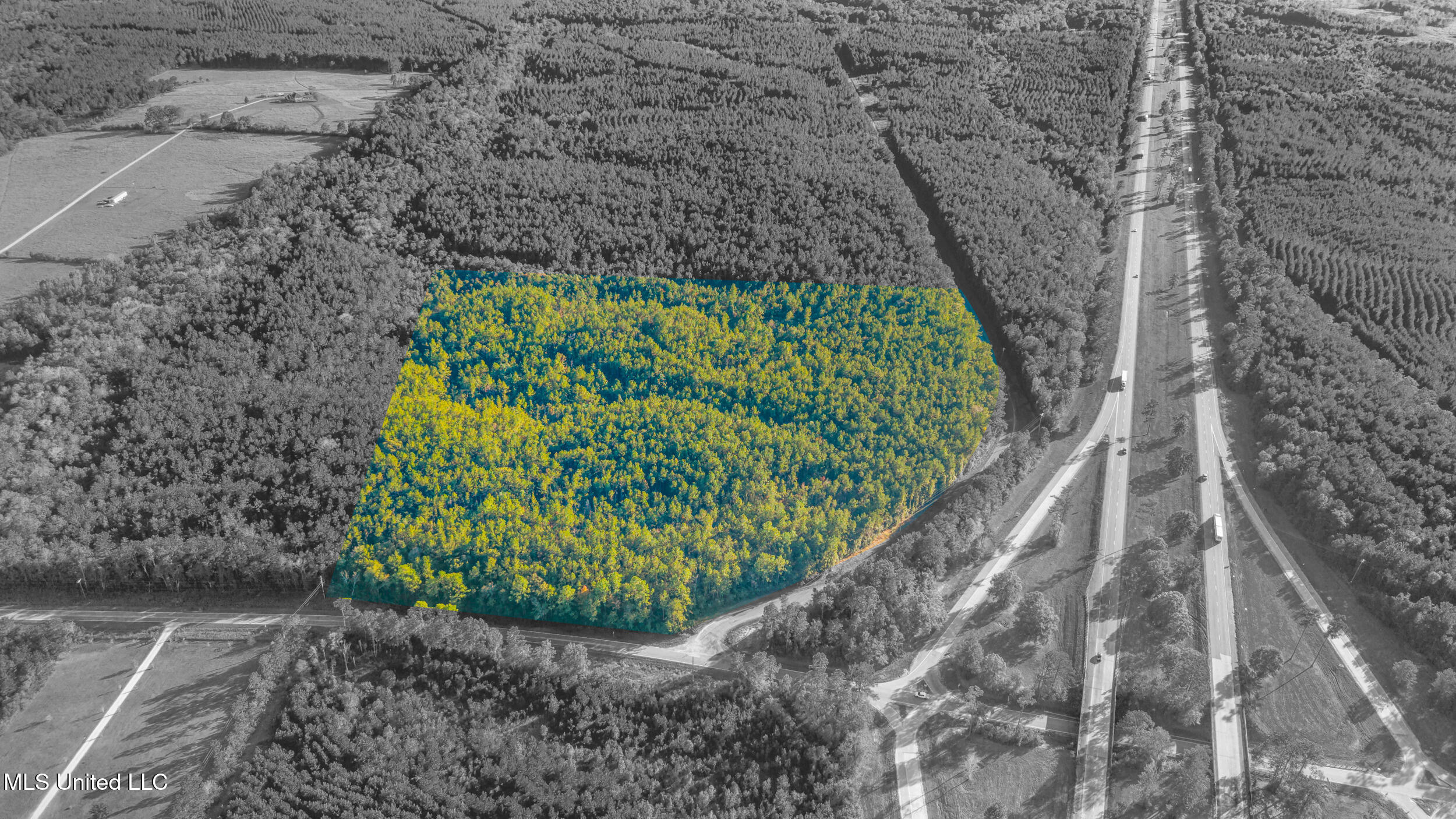 I59-savannah Millard Road Property Photo 19