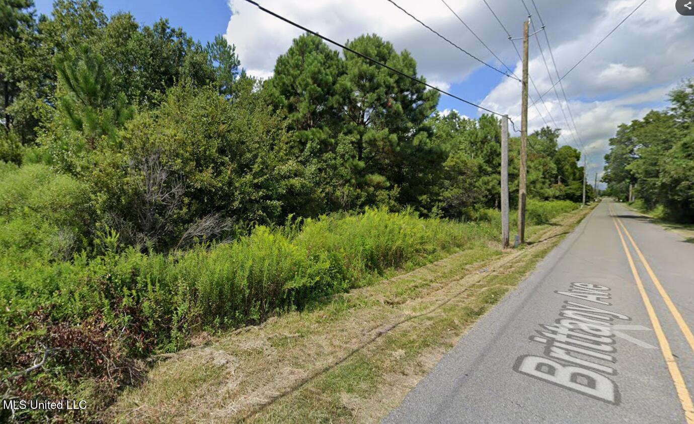 1 Brittany Avenue Property Photo 4