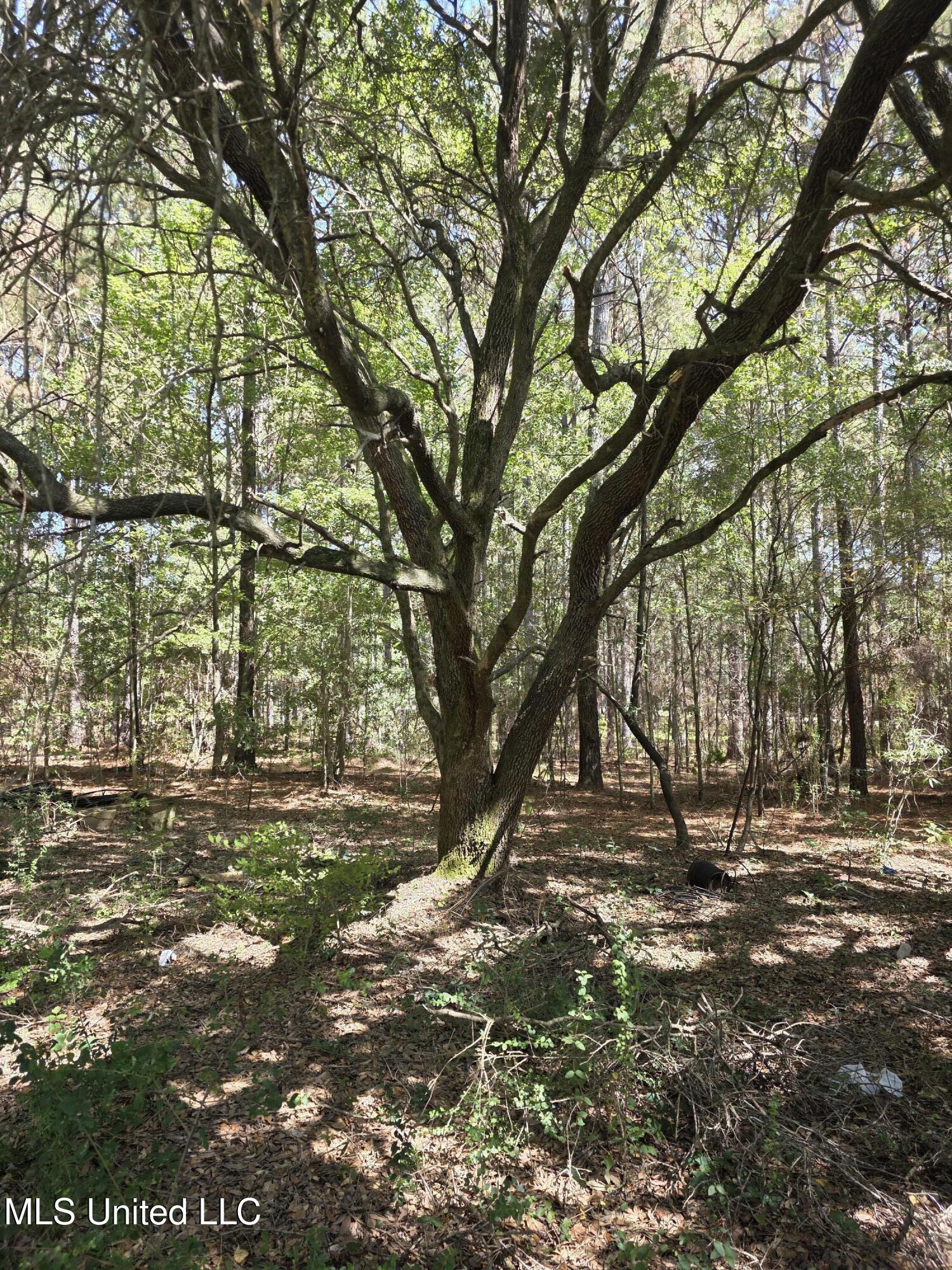 2862 Wallace Dr Property Photo 10