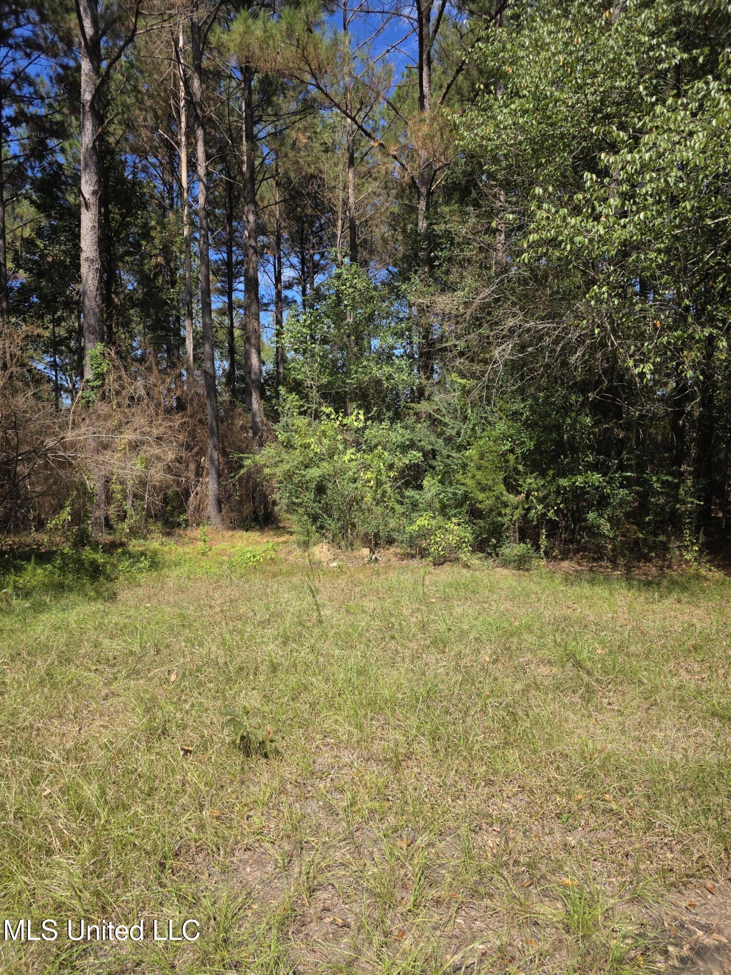 2862 Wallace Dr Property Photo 11