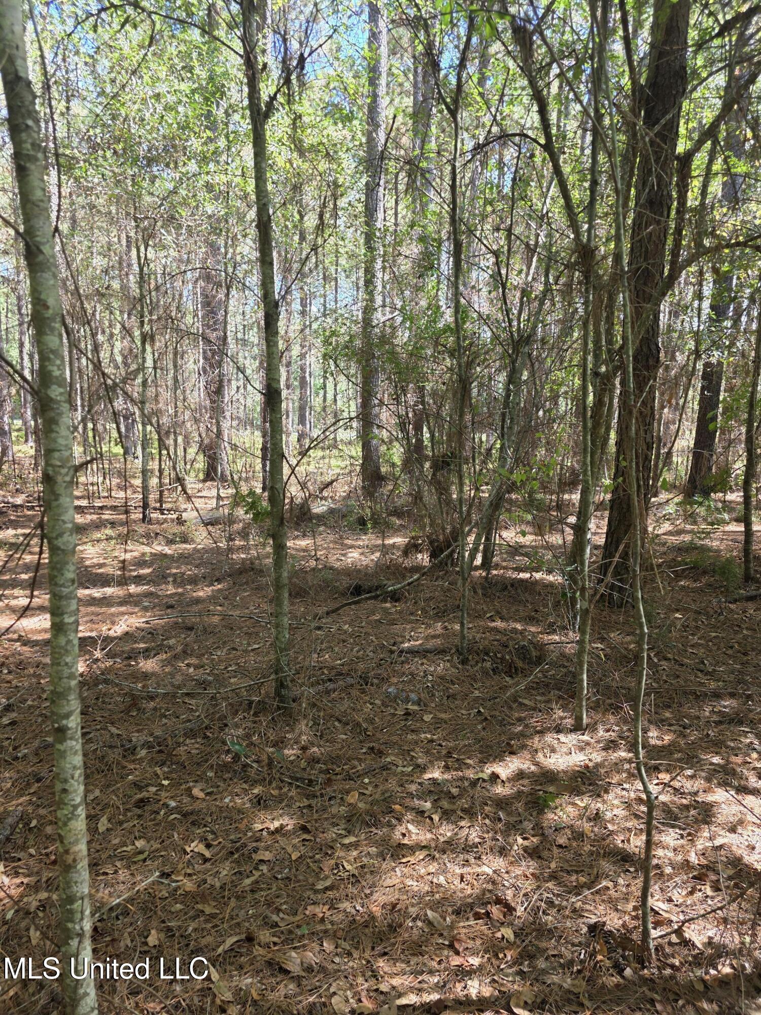 2862 Wallace Dr Property Photo 13
