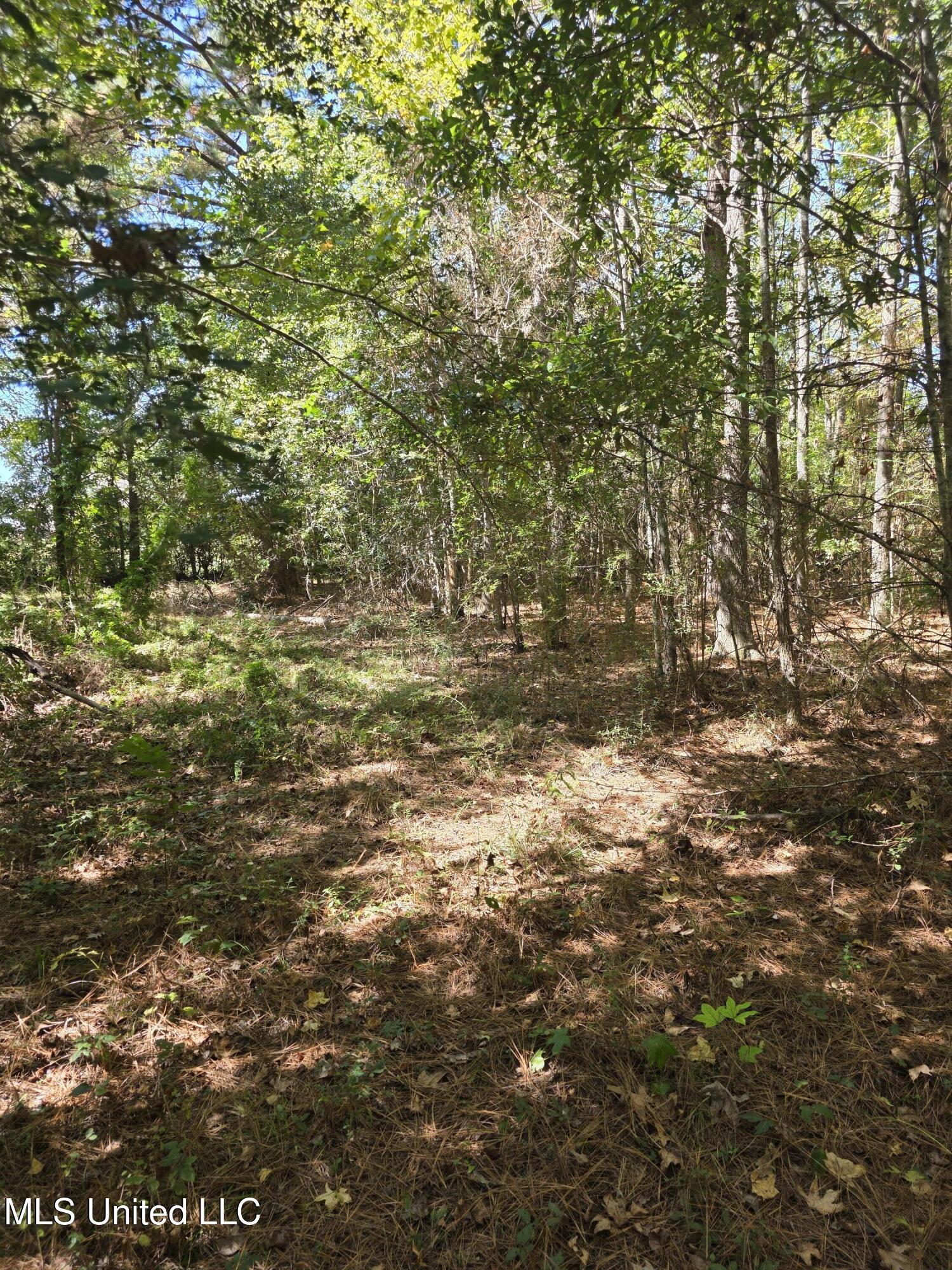 2862 Wallace Dr Property Photo 16