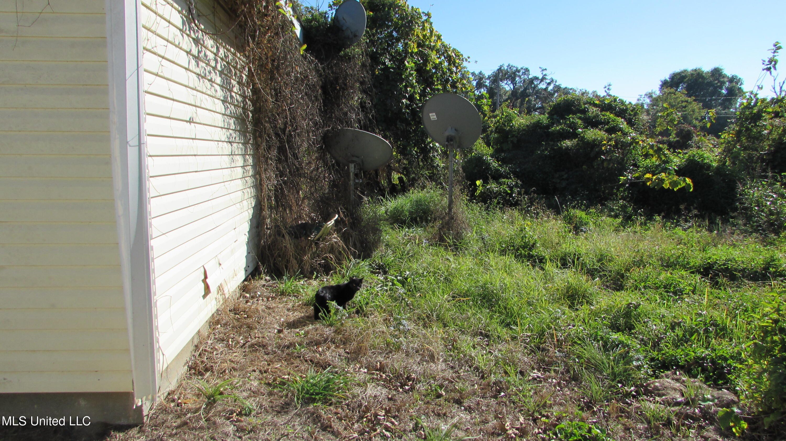 2015 32nd Avenue Property Photo 9