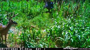 2075 County Rd 180 Property Photo 5