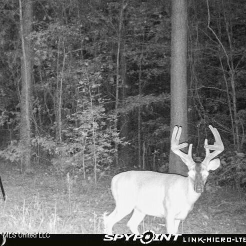 2075 County Rd 180 Property Photo 9