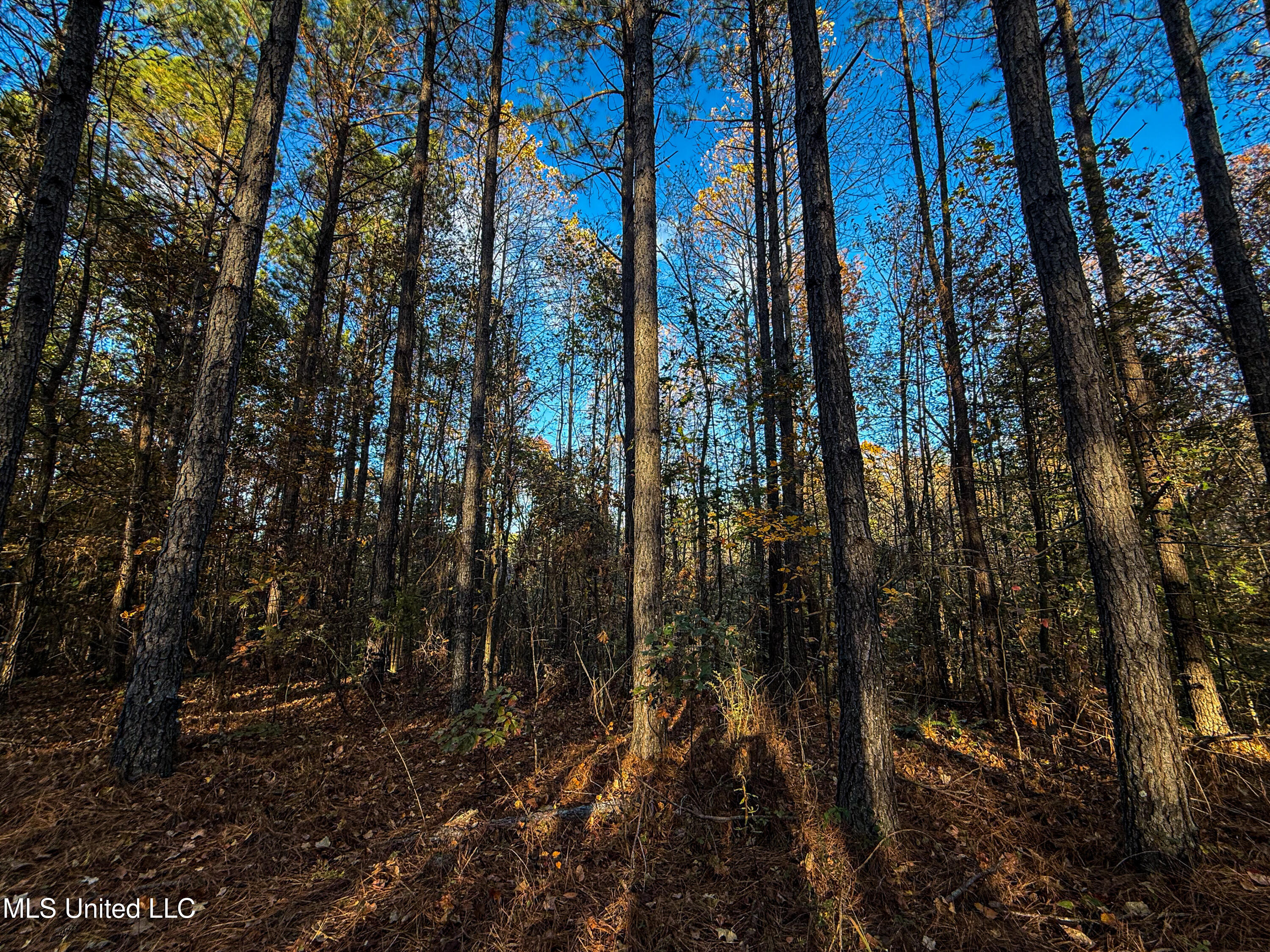 2075 County Rd 180 Property Photo 11