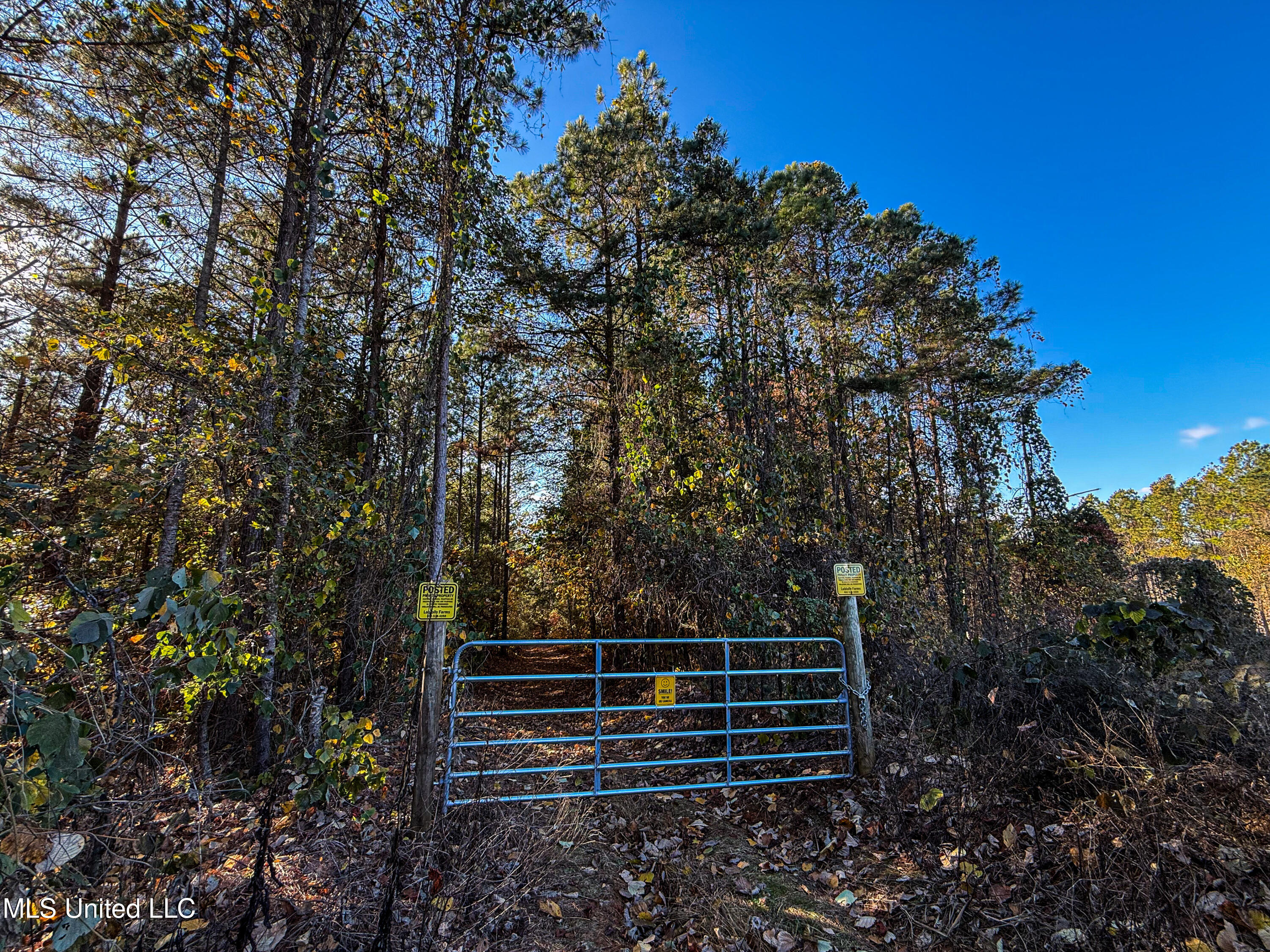 2075 County Rd 180 Property Photo 23