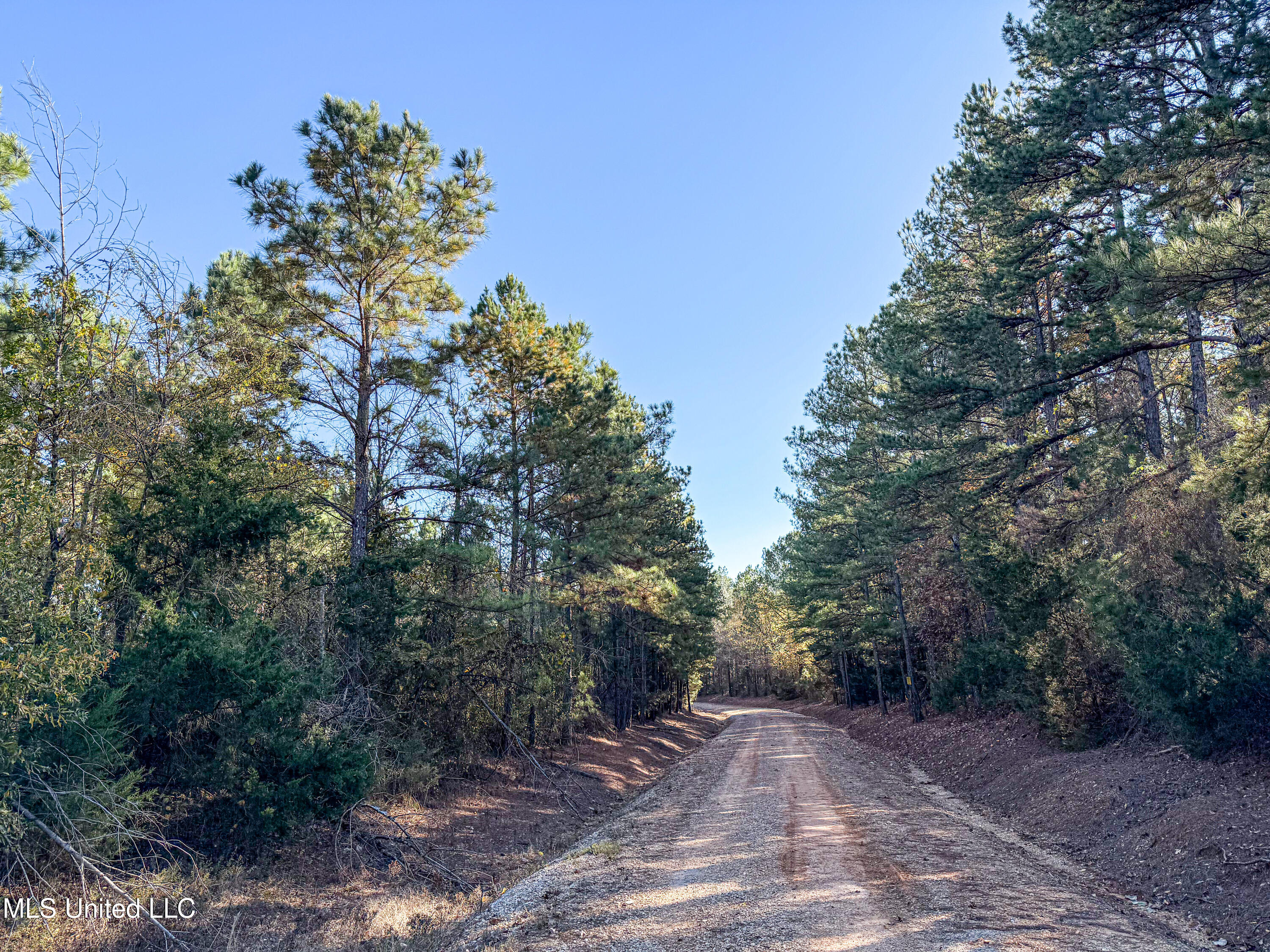 2075 County Rd 180 Property Photo 26