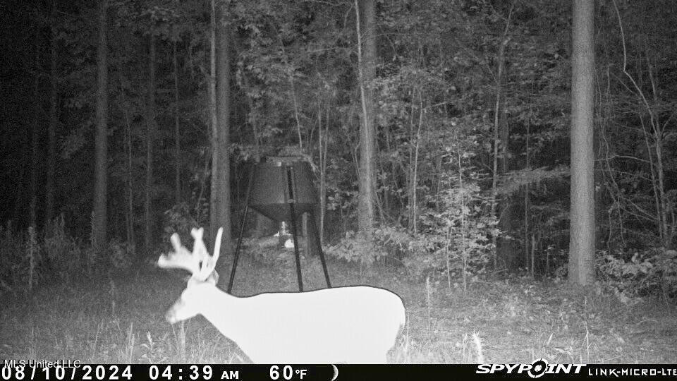 2075 County Rd 180 Property Photo 27