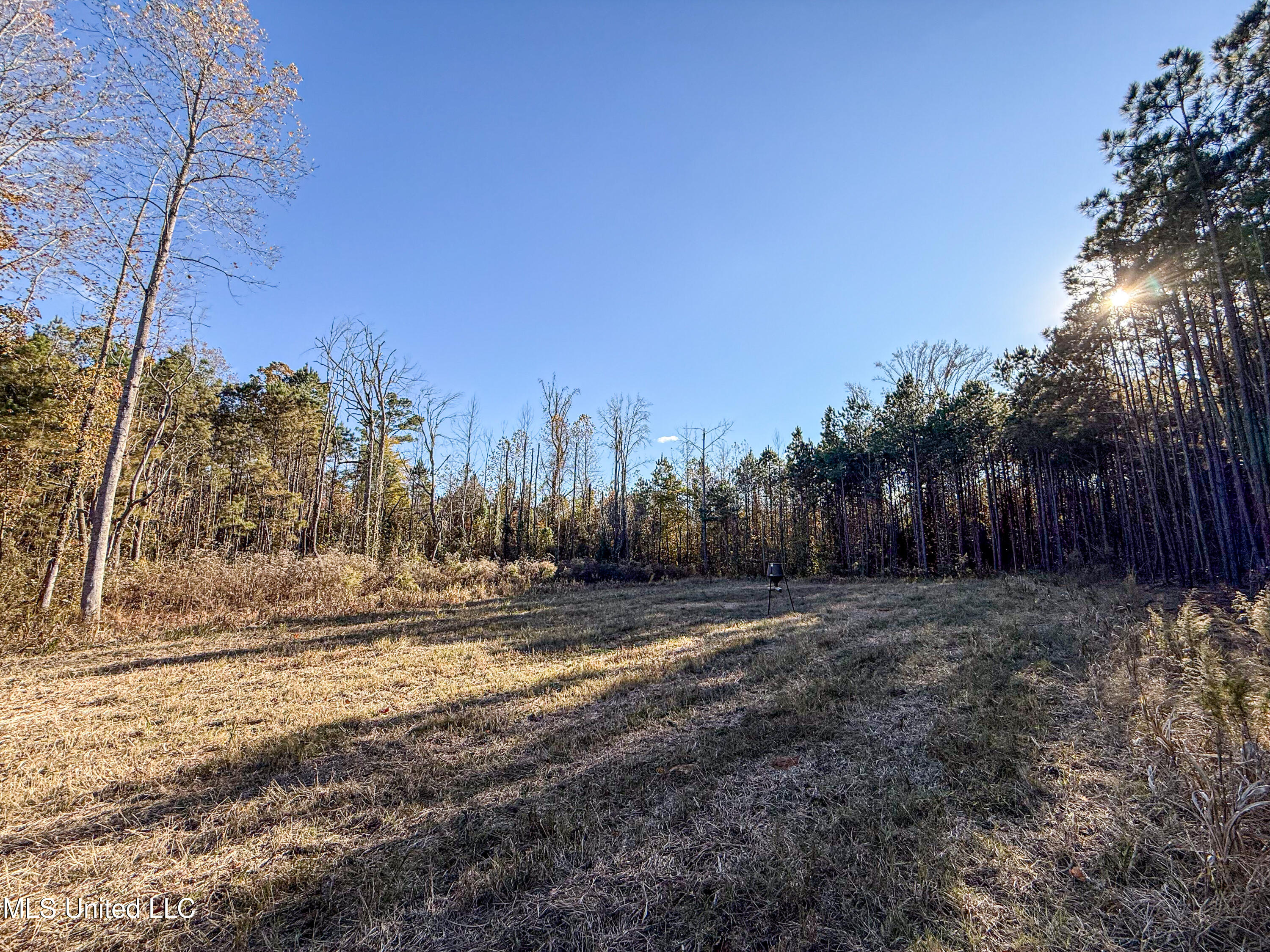2075 County Rd 180 Property Photo 29