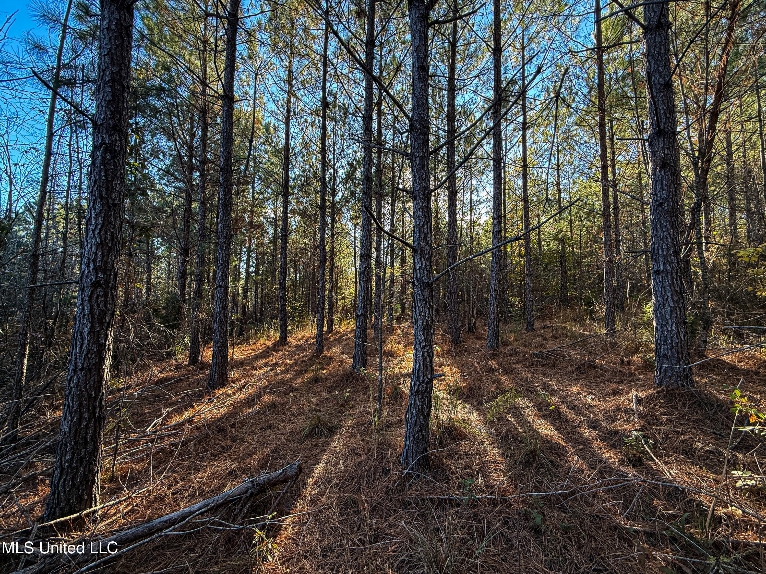 2075 County Rd 180 Property Photo 33
