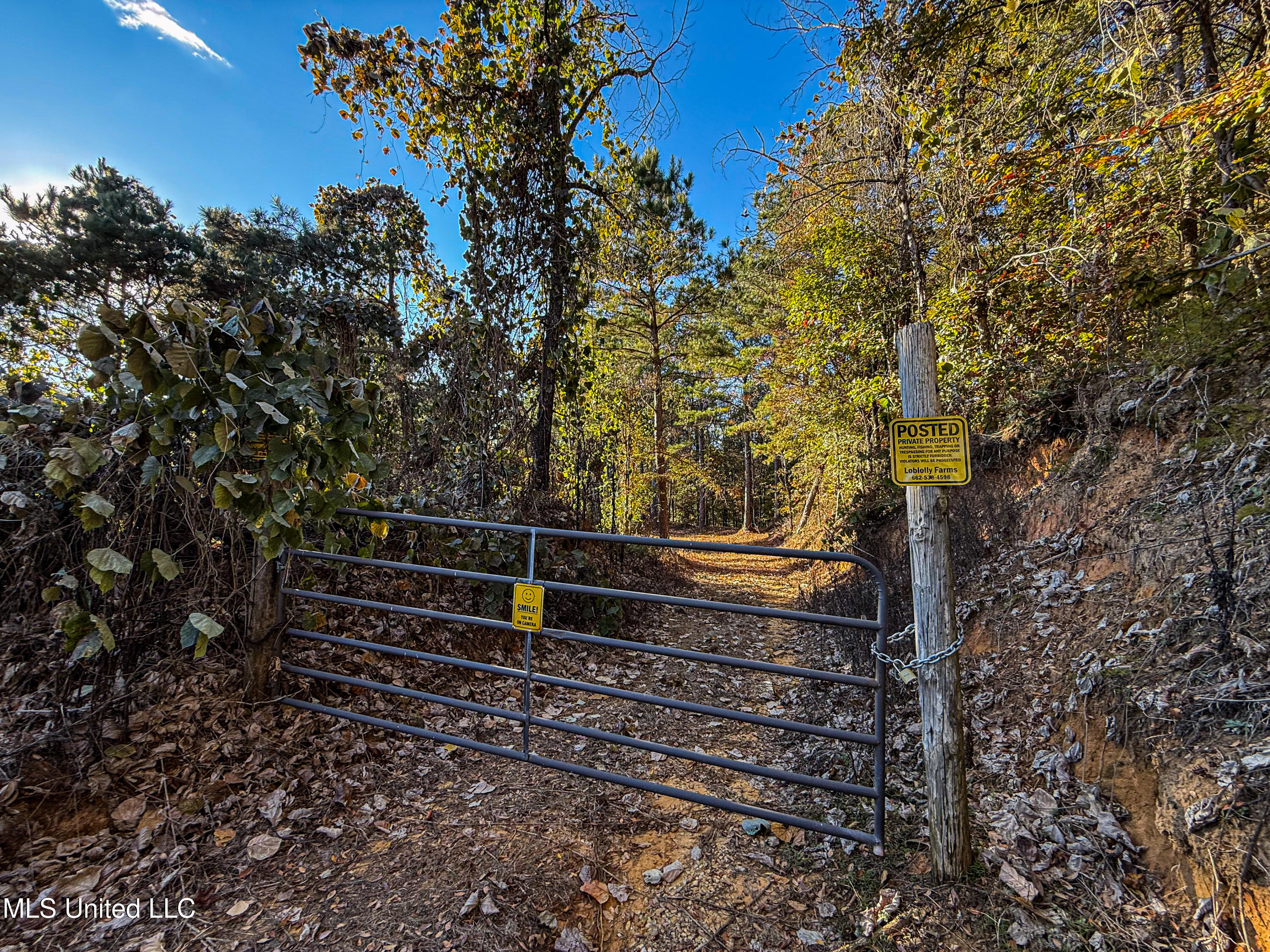 2075 County Rd 180 Property Photo 35