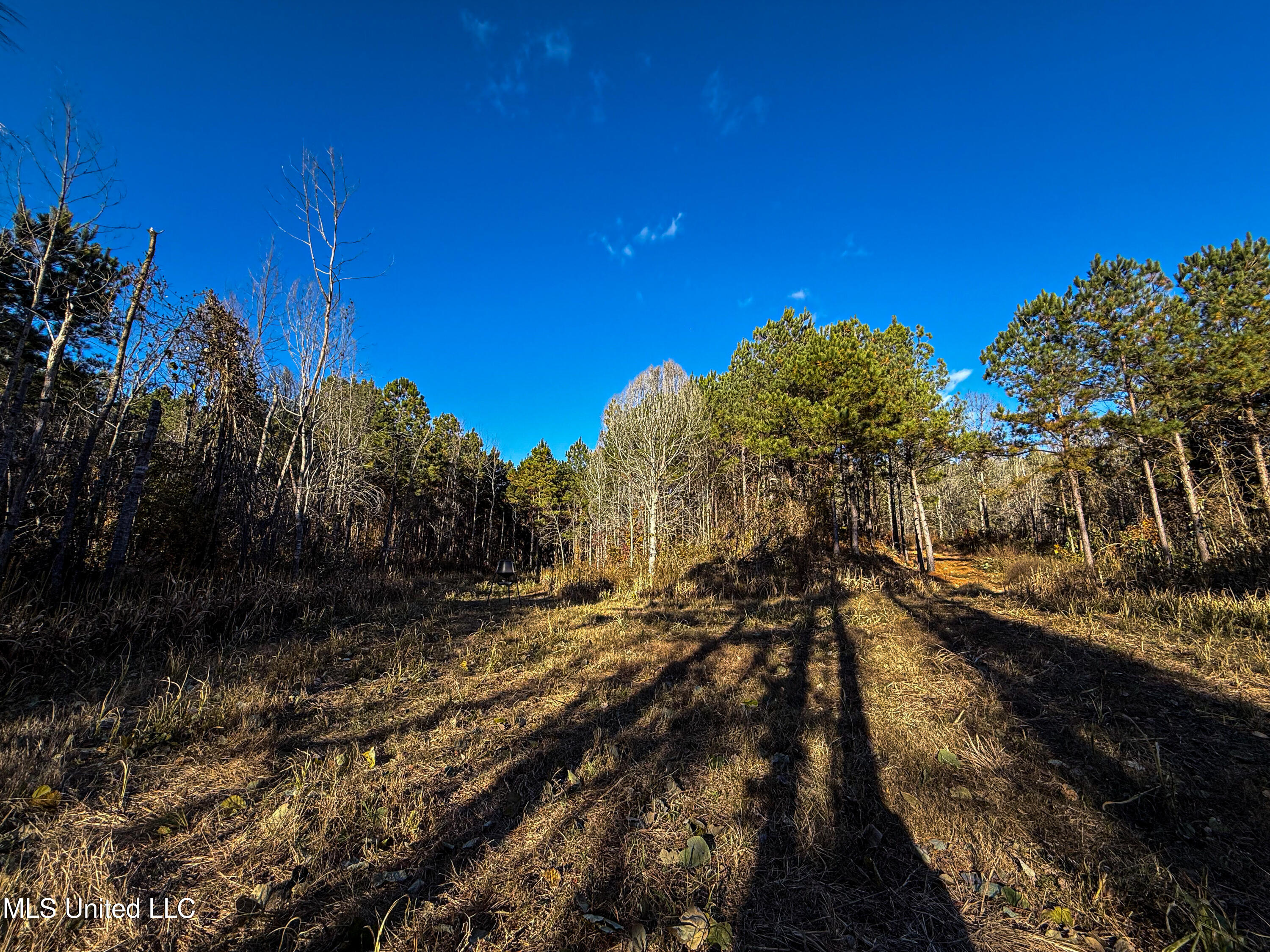 2075 County Rd 180 Property Photo 37