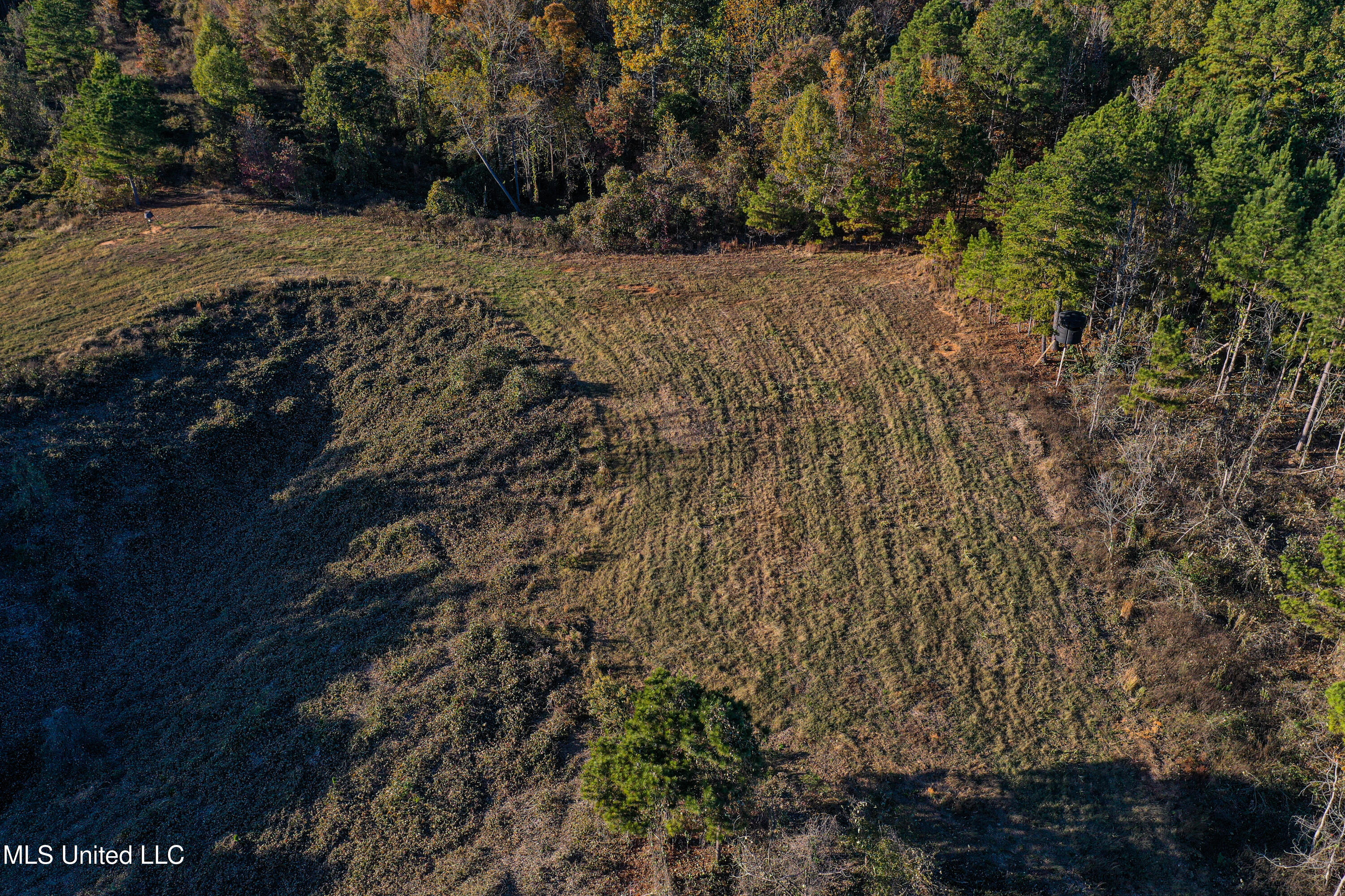 2075 County Rd 180 Property Photo 38