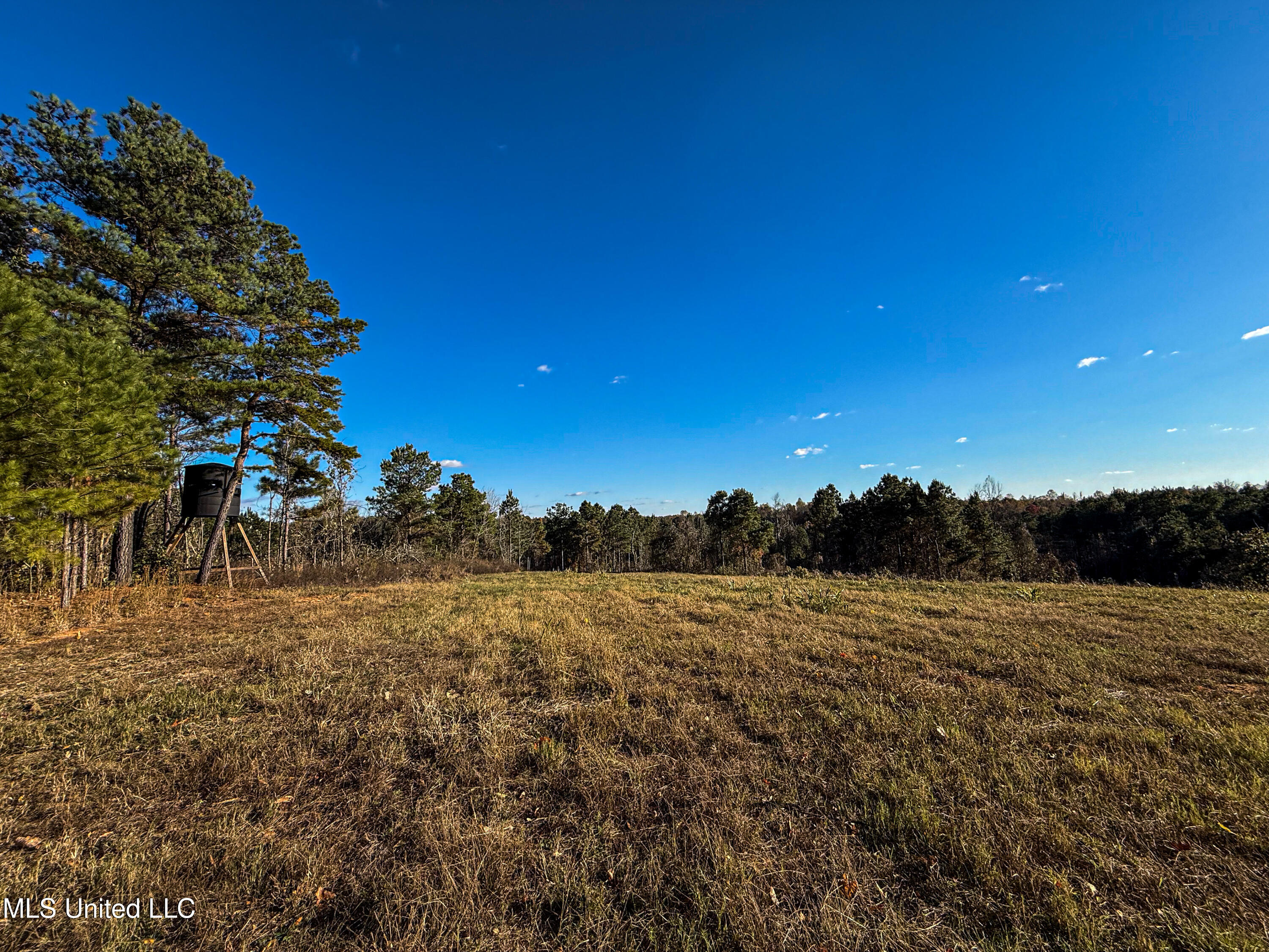 2075 County Rd 180 Property Photo 41