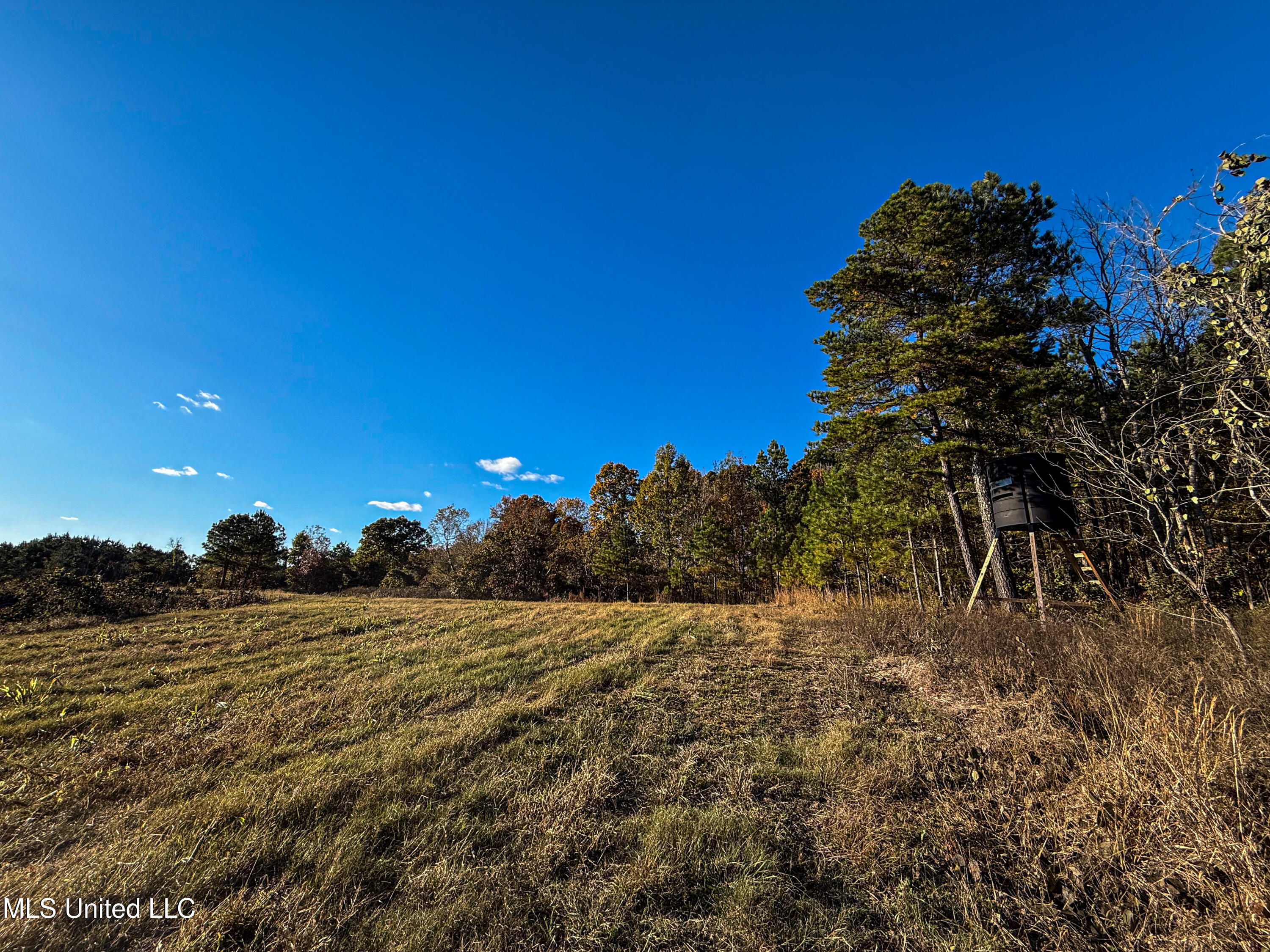 2075 County Rd 180 Property Photo 42
