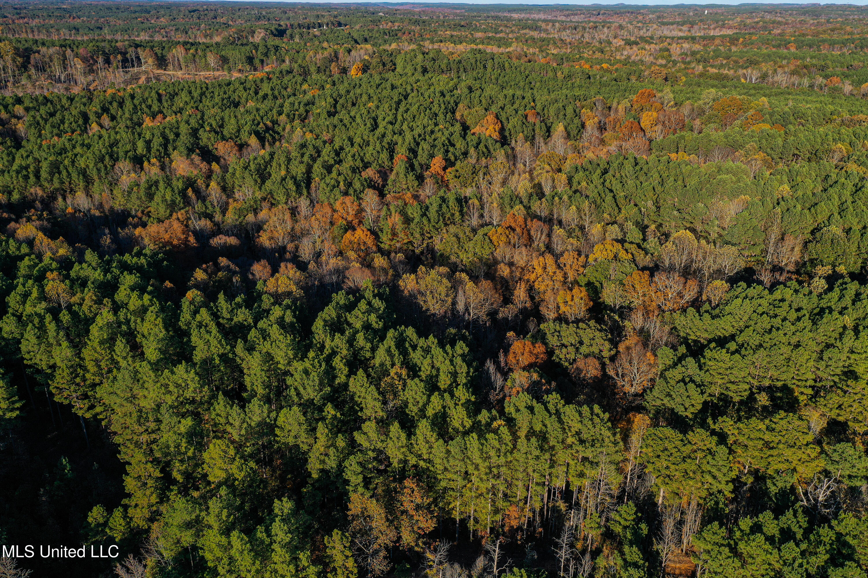 2075 County Rd 180 Property Photo 44