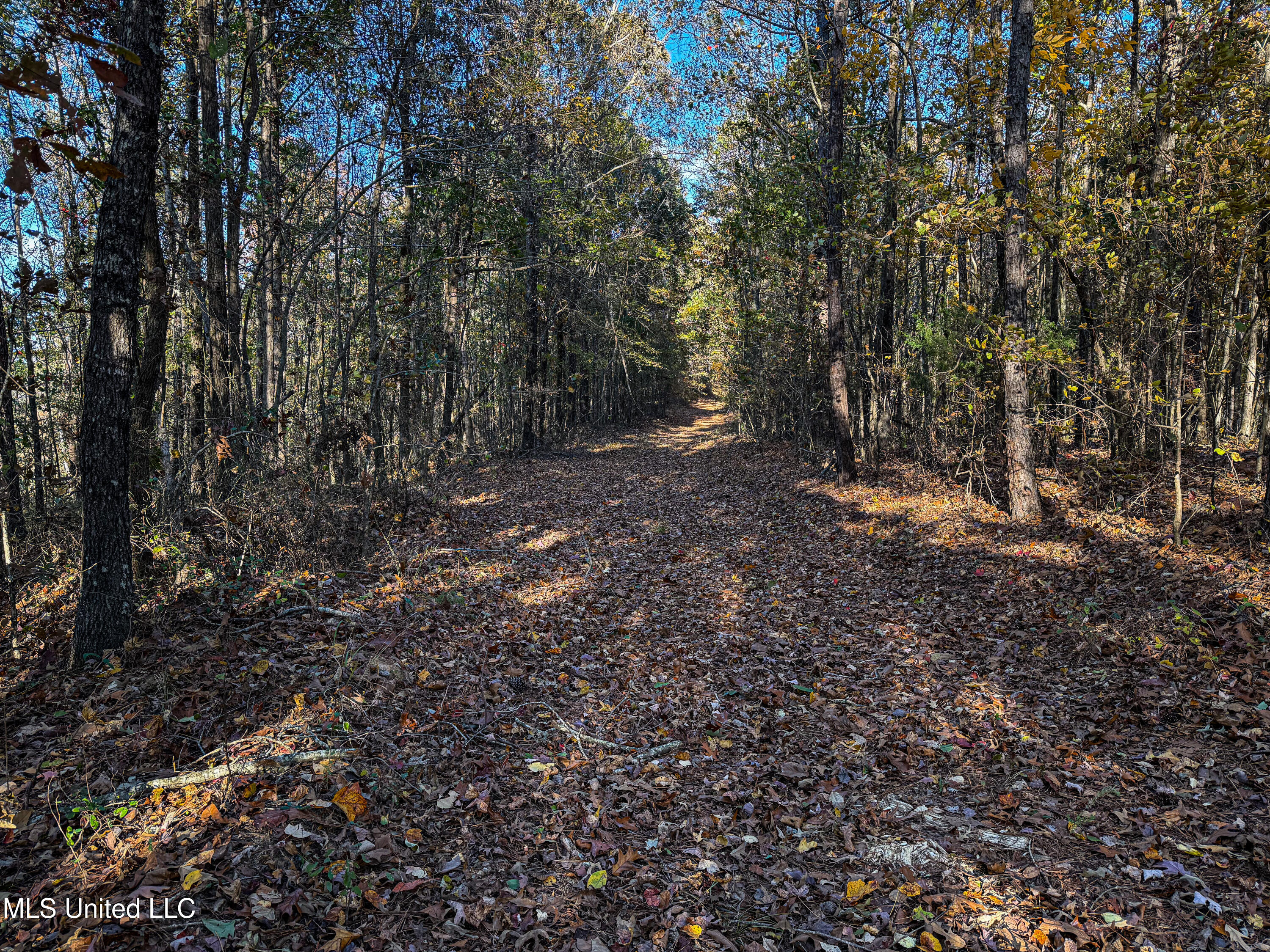 2075 County Rd 180 Property Photo 45